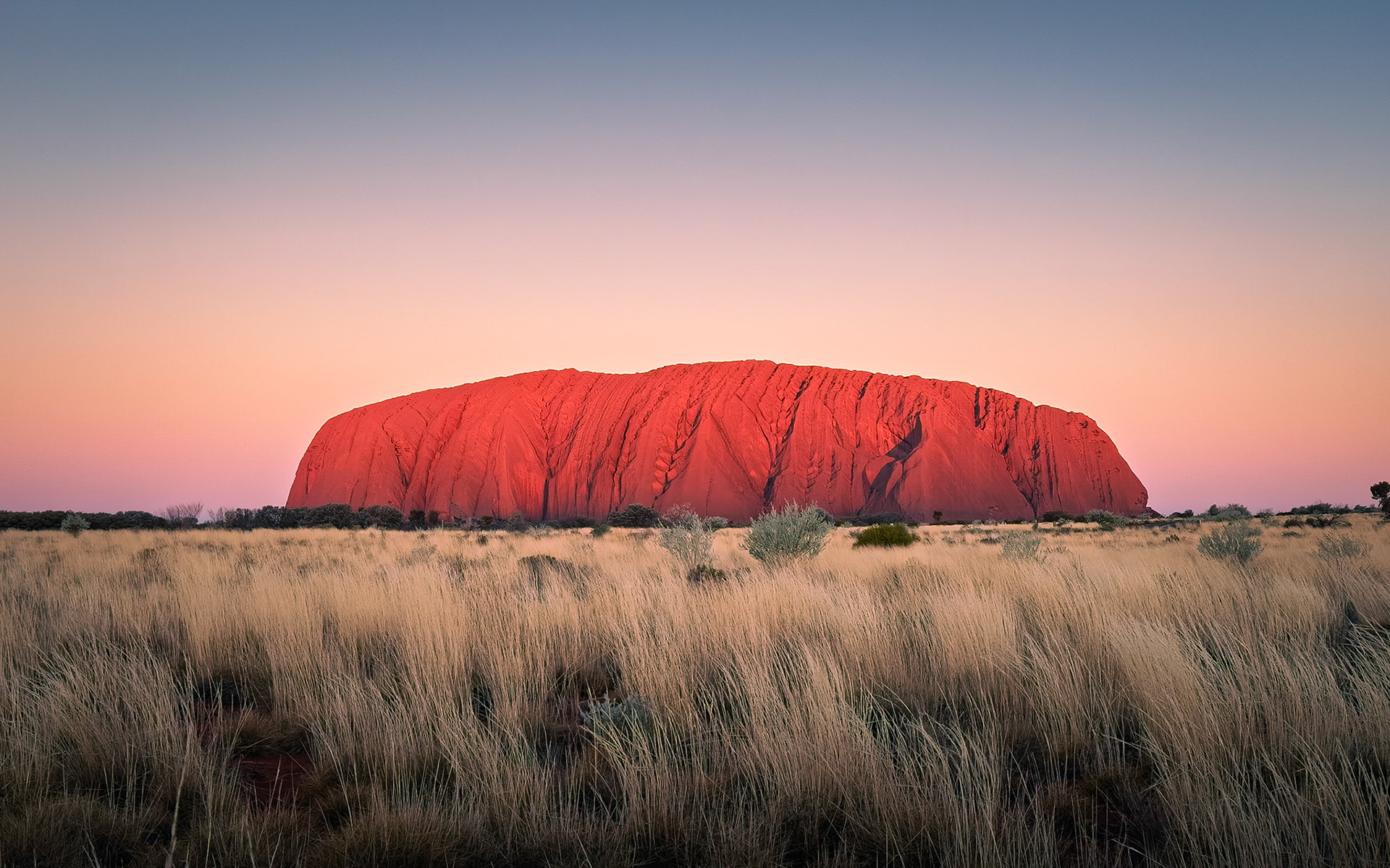 Sunset at Uluru