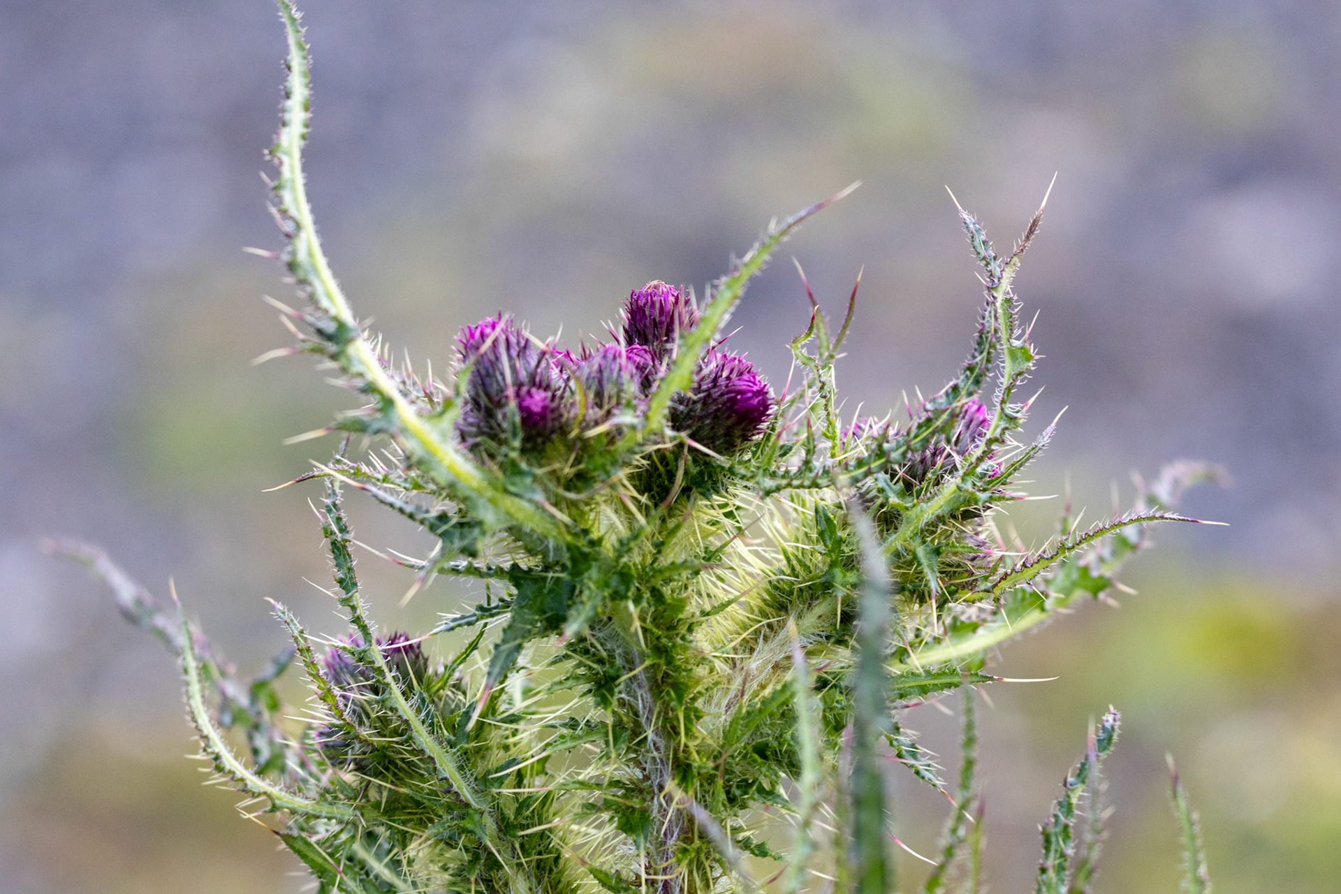 Warm up All Classes Bungalow TT 24