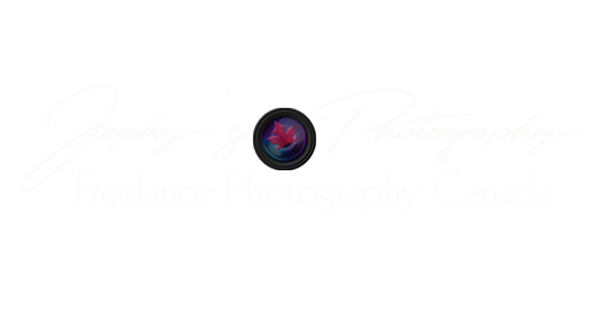 Jophy's Photography