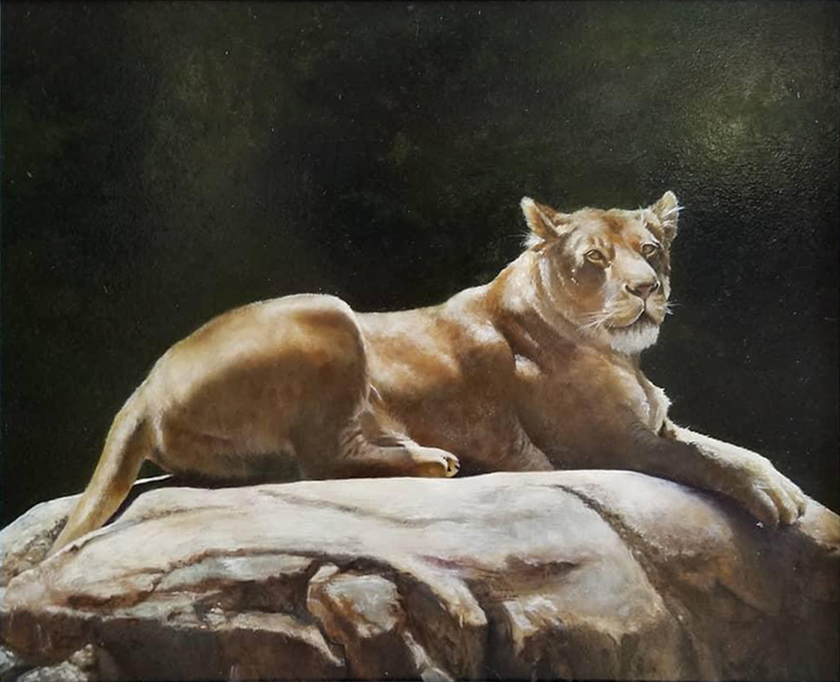 Hogle Lion, oil on masonite panel, 14"x24", 2019.