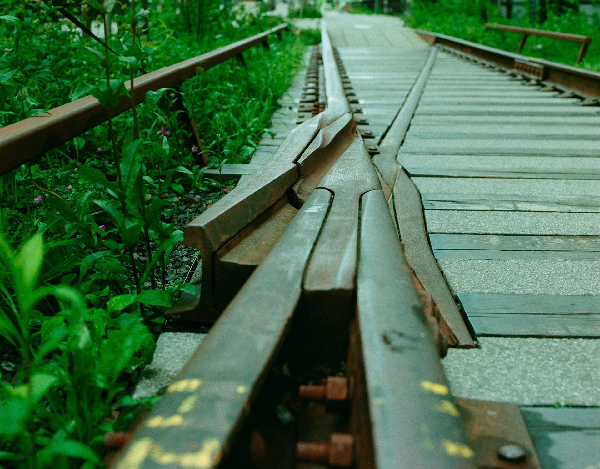 Negative Lab Pro v2.3.0 | Color Model: Basic | Pre-Sat: 3 | Tone Profile: LAB - Standard | WB: Auto-Neutral | LUT: Frontier