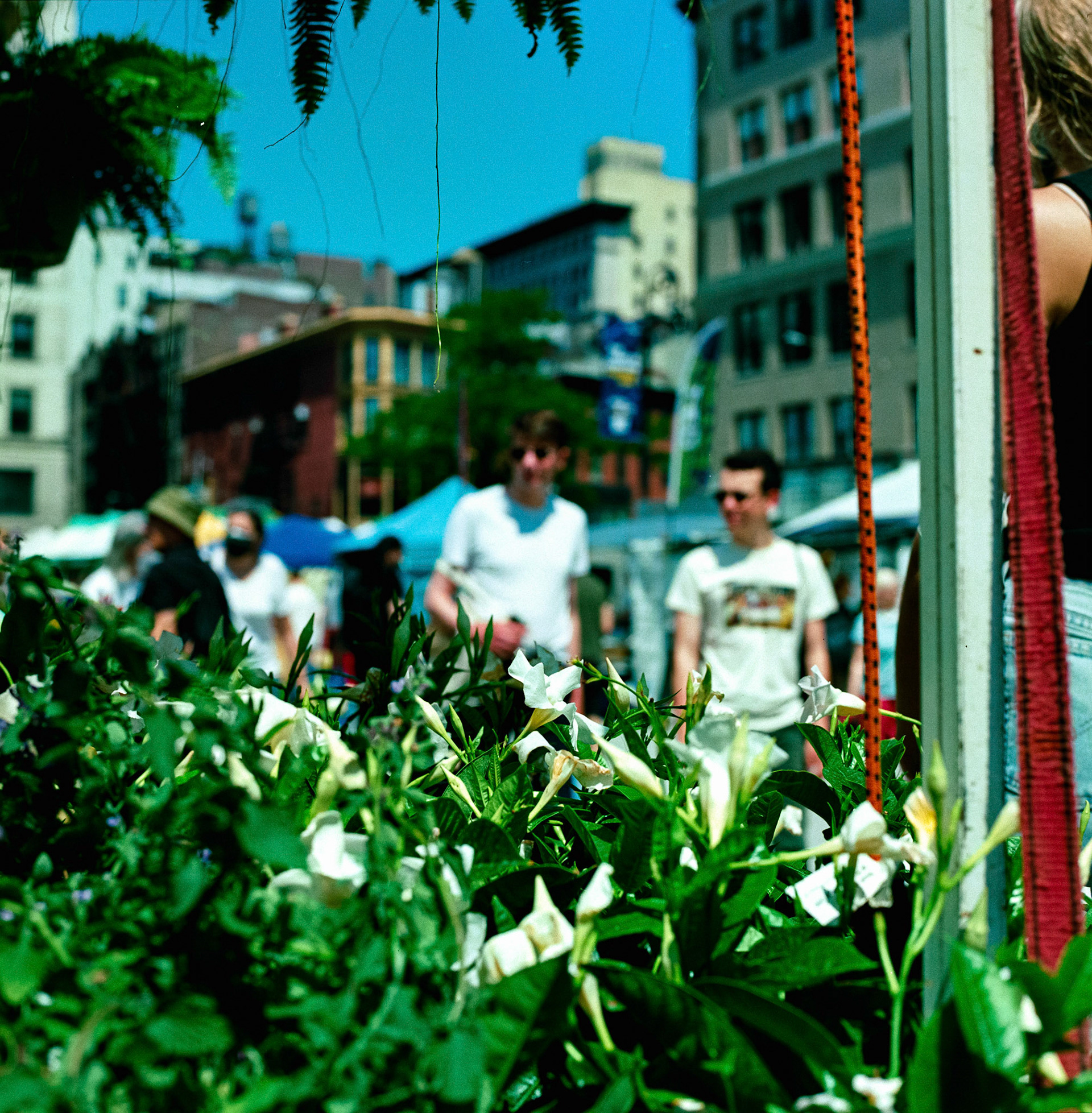 Negative Lab Pro v2.3.0 | Color Model: Basic | Pre-Sat: 3 | Tone Profile: LAB - Standard | WB: Auto-Neutral | LUT: Frontier