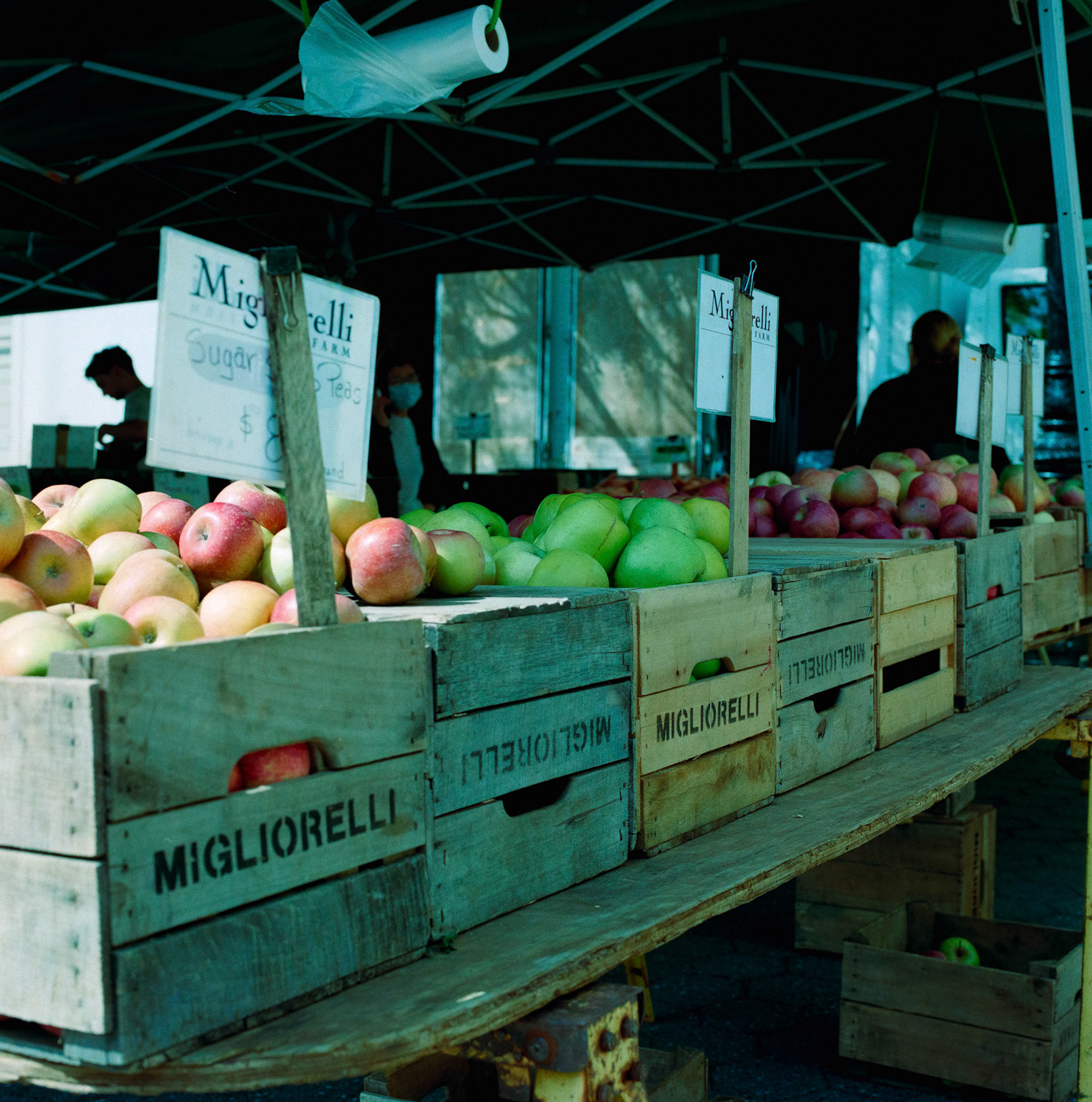 Negative Lab Pro v2.3.0 | Color Model: Basic | Pre-Sat: 3 | Tone Profile: LAB - Standard | WB: Auto-Neutral | LUT: Frontier