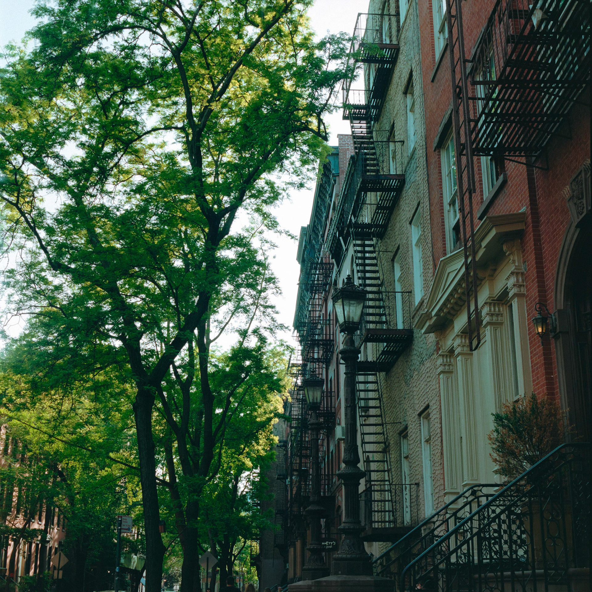 Negative Lab Pro v2.3.0 | Color Model: Basic | Pre-Sat: 3 | Tone Profile: LAB - Standard | WB: Auto-Neutral | LUT: Frontier