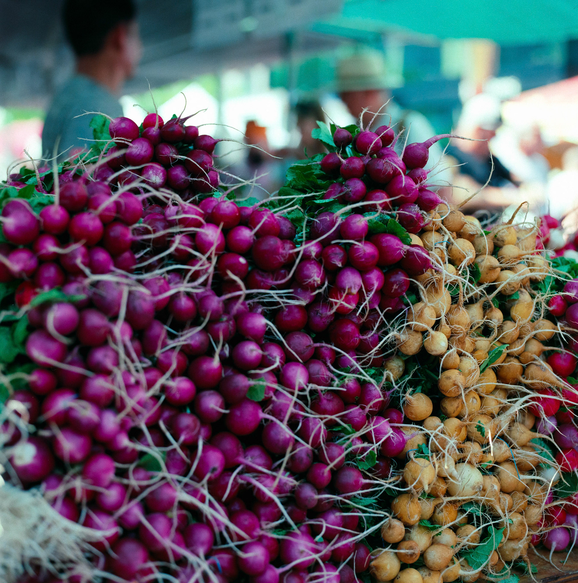 Negative Lab Pro v2.3.0 | Color Model: Basic | Pre-Sat: 3 | Tone Profile: LAB - Standard | WB: Auto-Neutral | LUT: Frontier