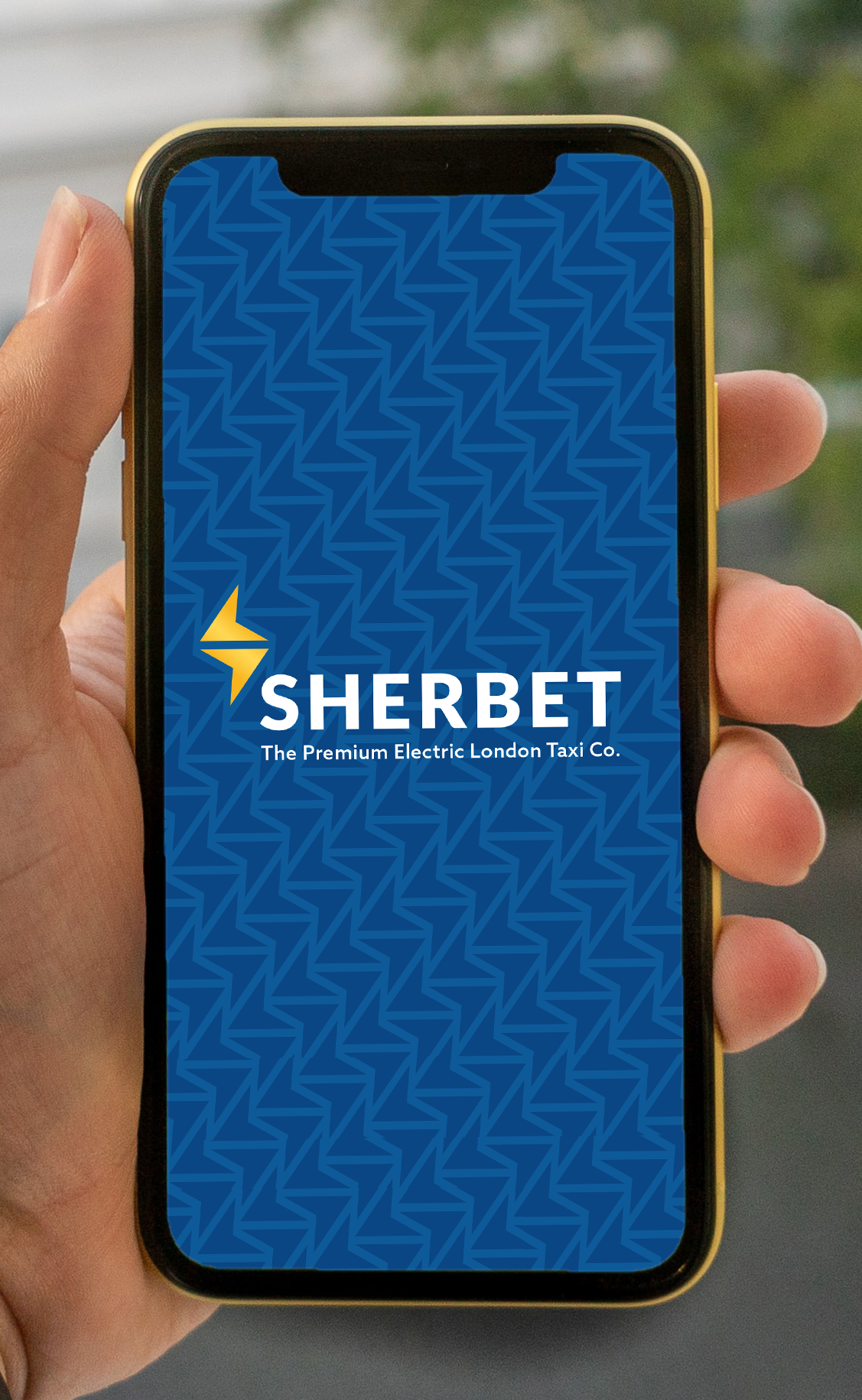 App Opening Screen