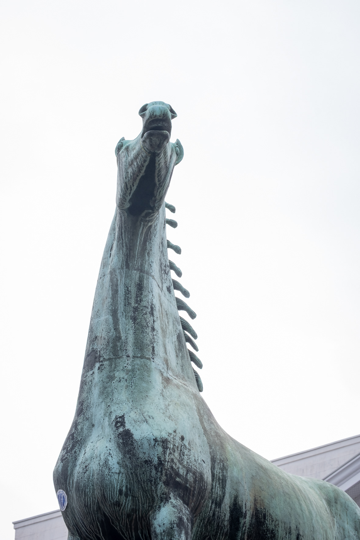 Fröhlicher Hengst, Aachen