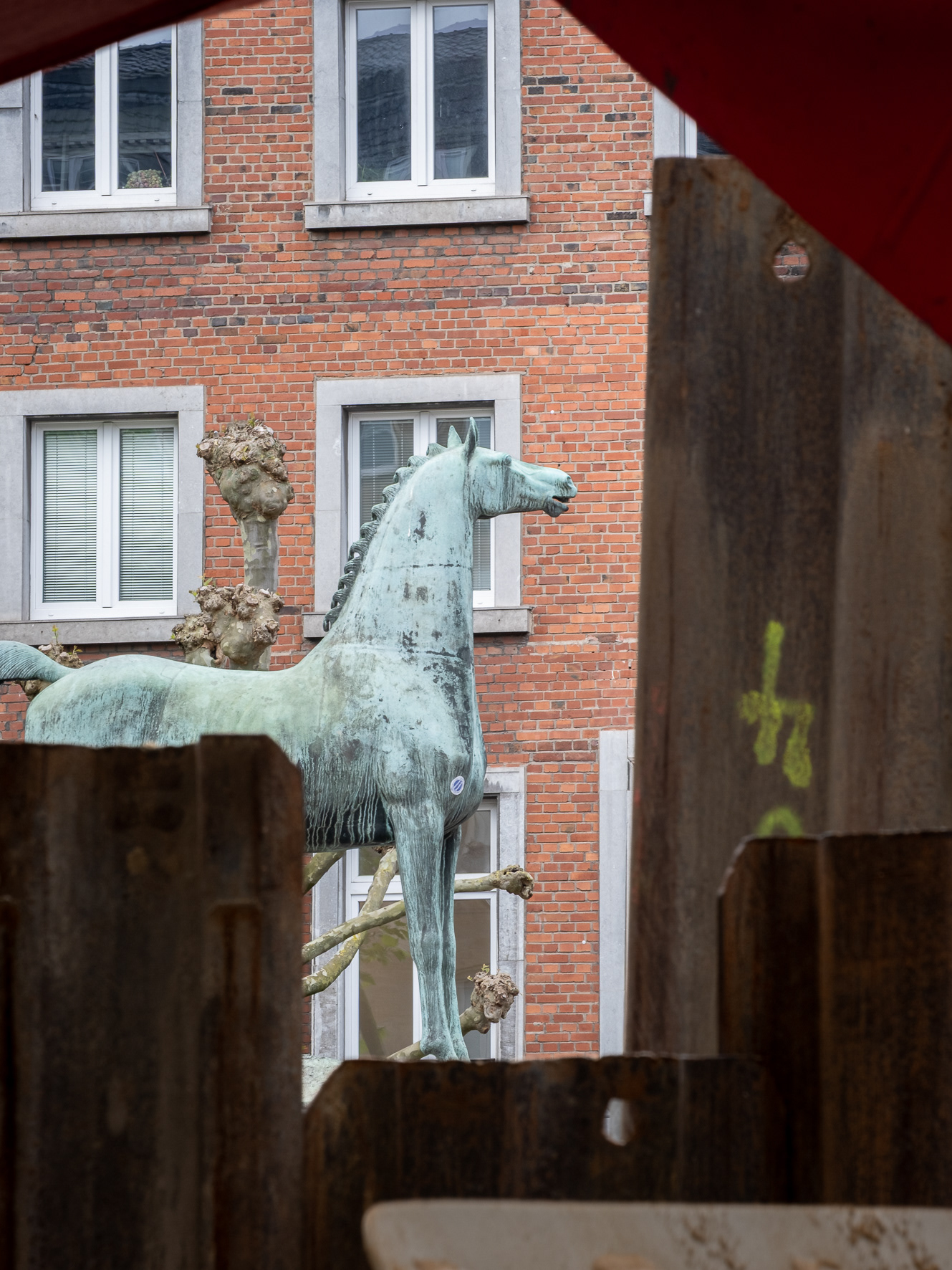 Fröhlicher Hengst, Aachen