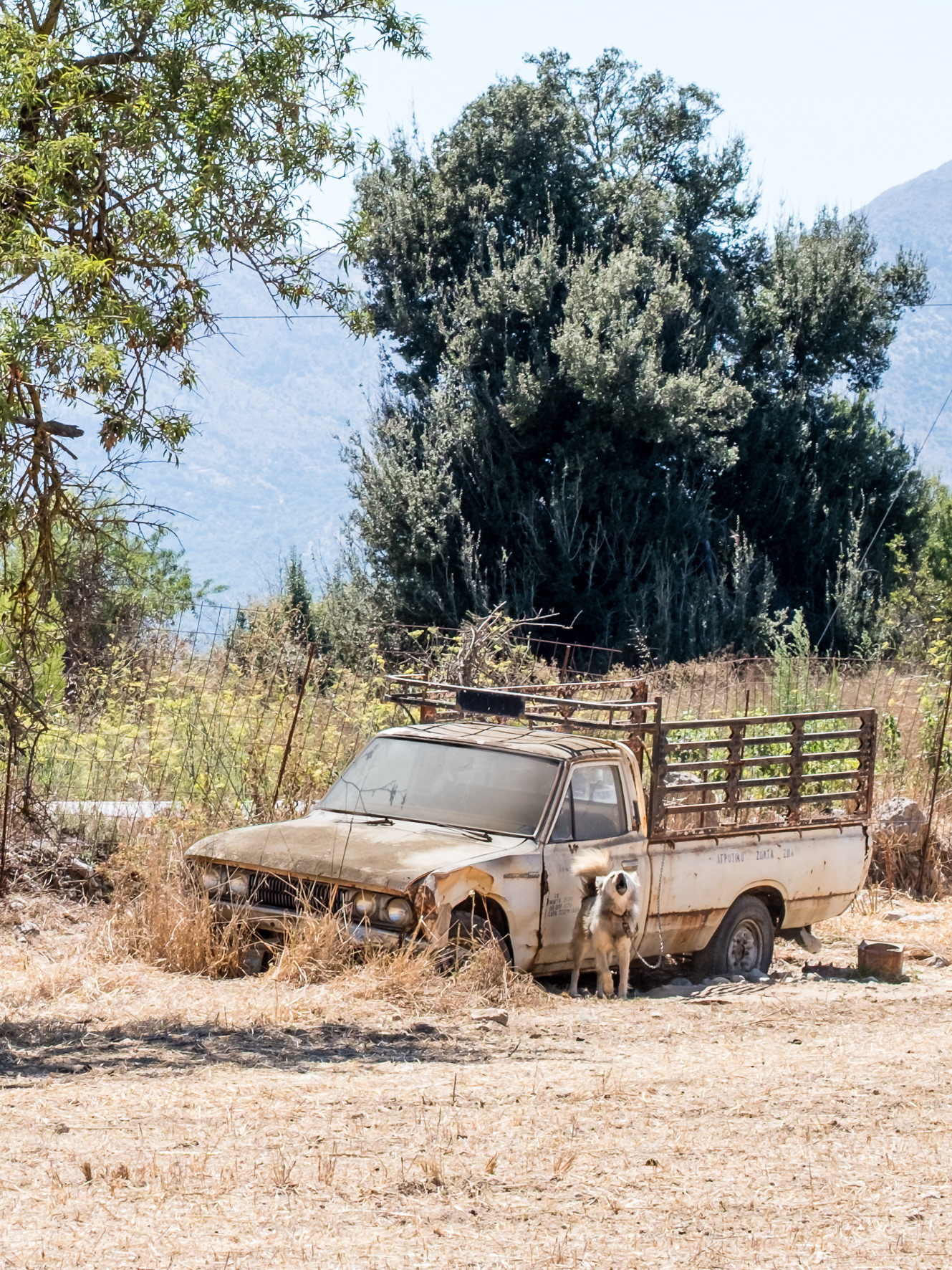 Datsun 620