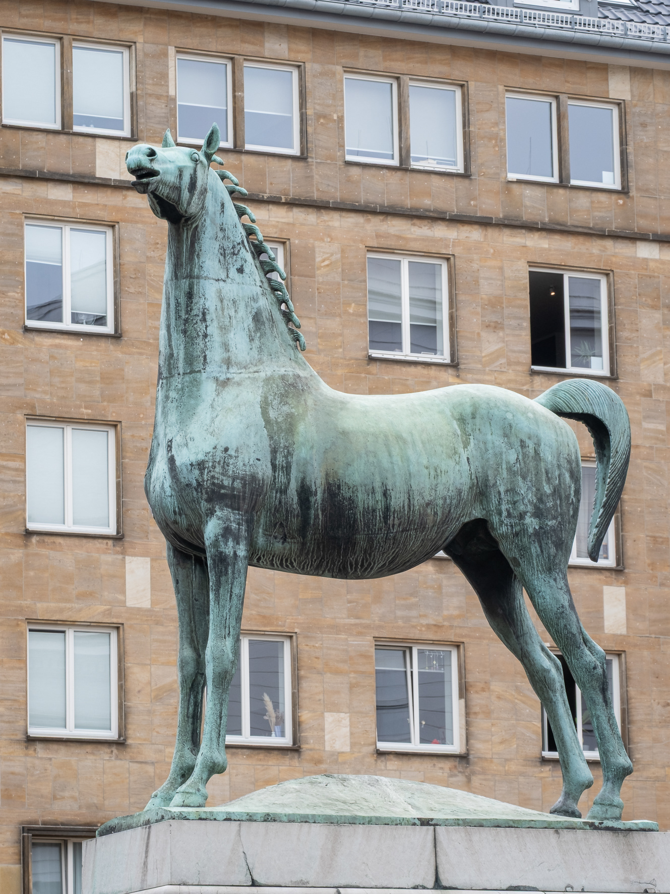 Fröhlicher Hengst, Aachen