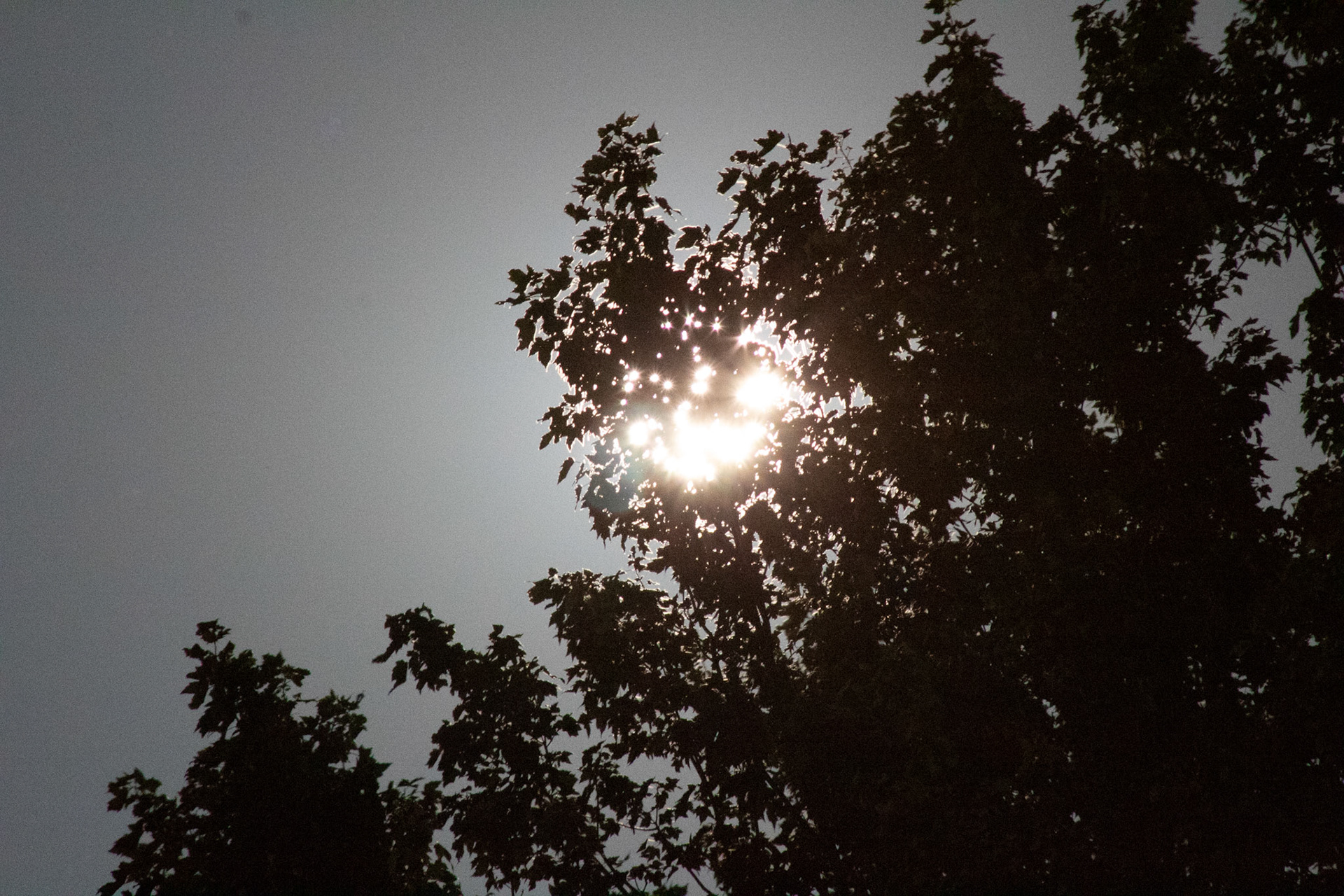 August 23, 2018 - View of the Moon through a tree branch, with high exposure. This effect causes it to look as if  the sun is dim. The moon's surface only reflects between 3 and 12 percent of the suns light, and it can illuminate the ground enough for your eyes to see at night sometimes.