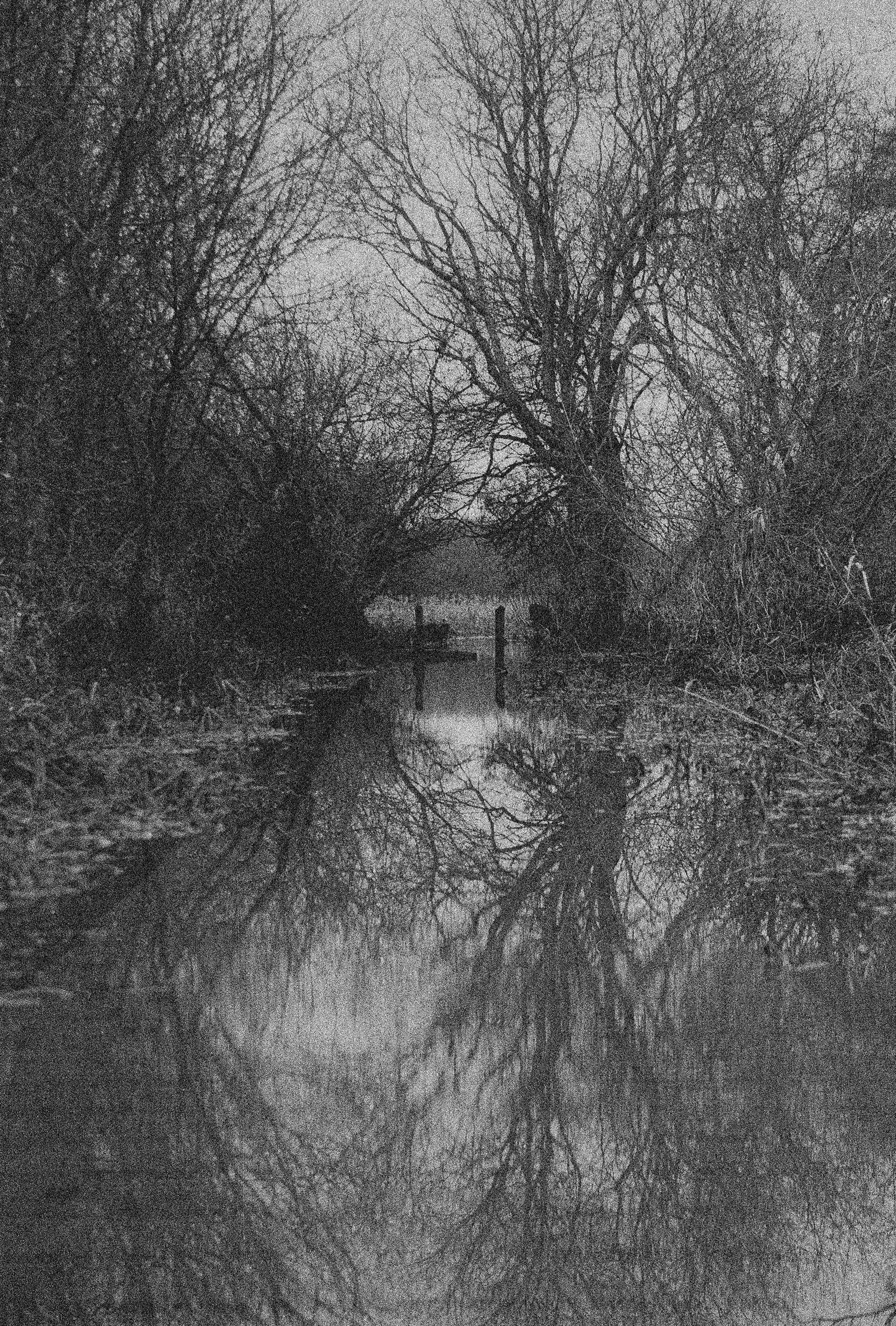Reflection