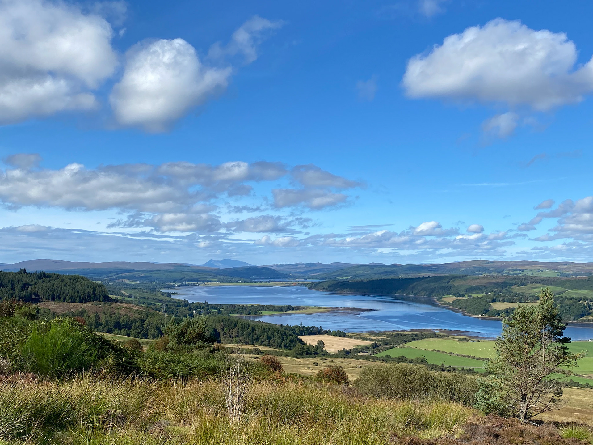 View of Dornoch Firth from Struie Hill