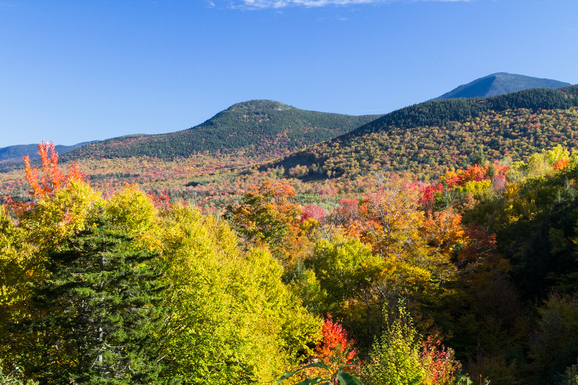 Along the Kancamagus Highway