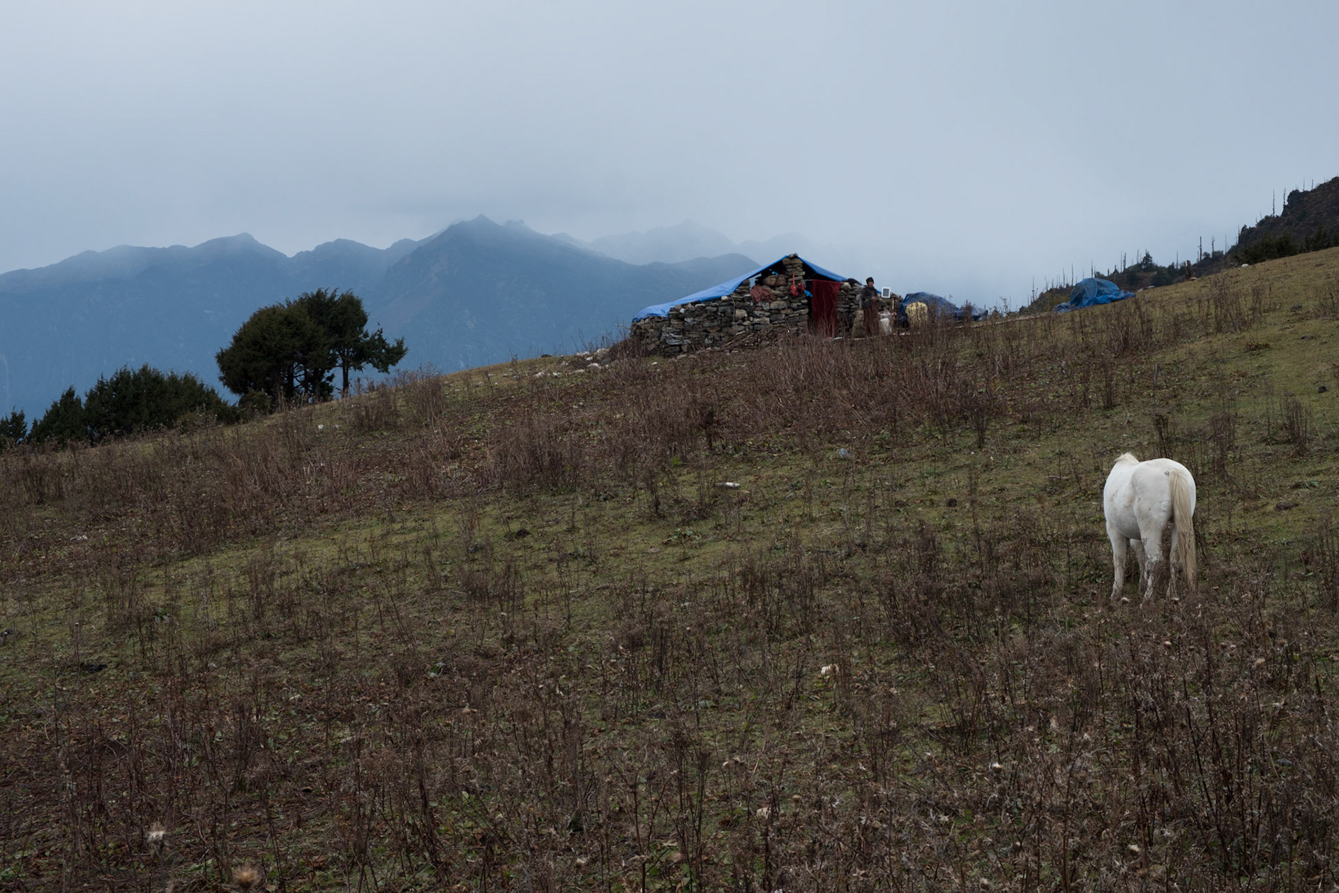 Nomad herders’ shelter
