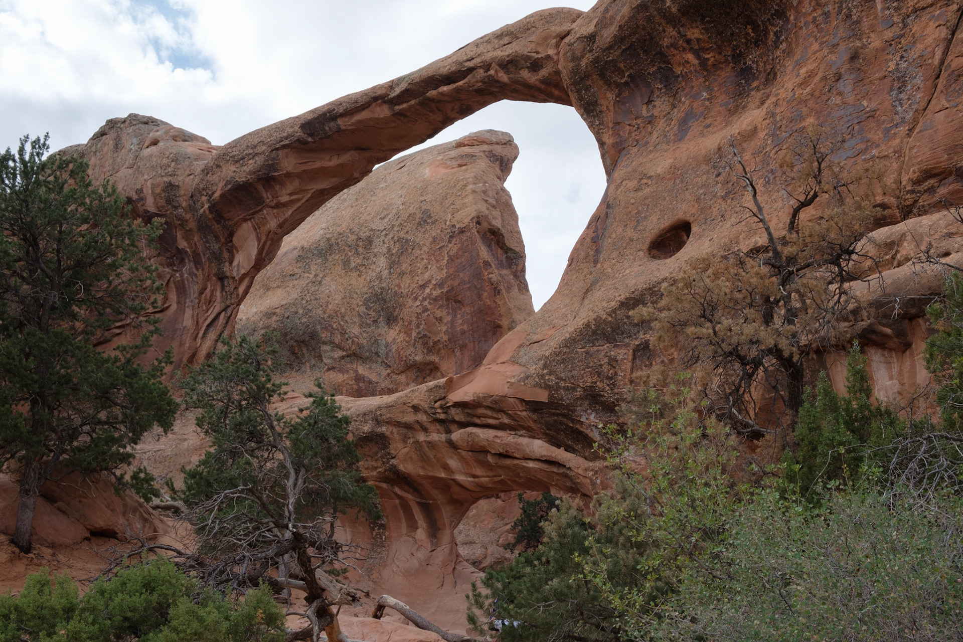 Double O arch