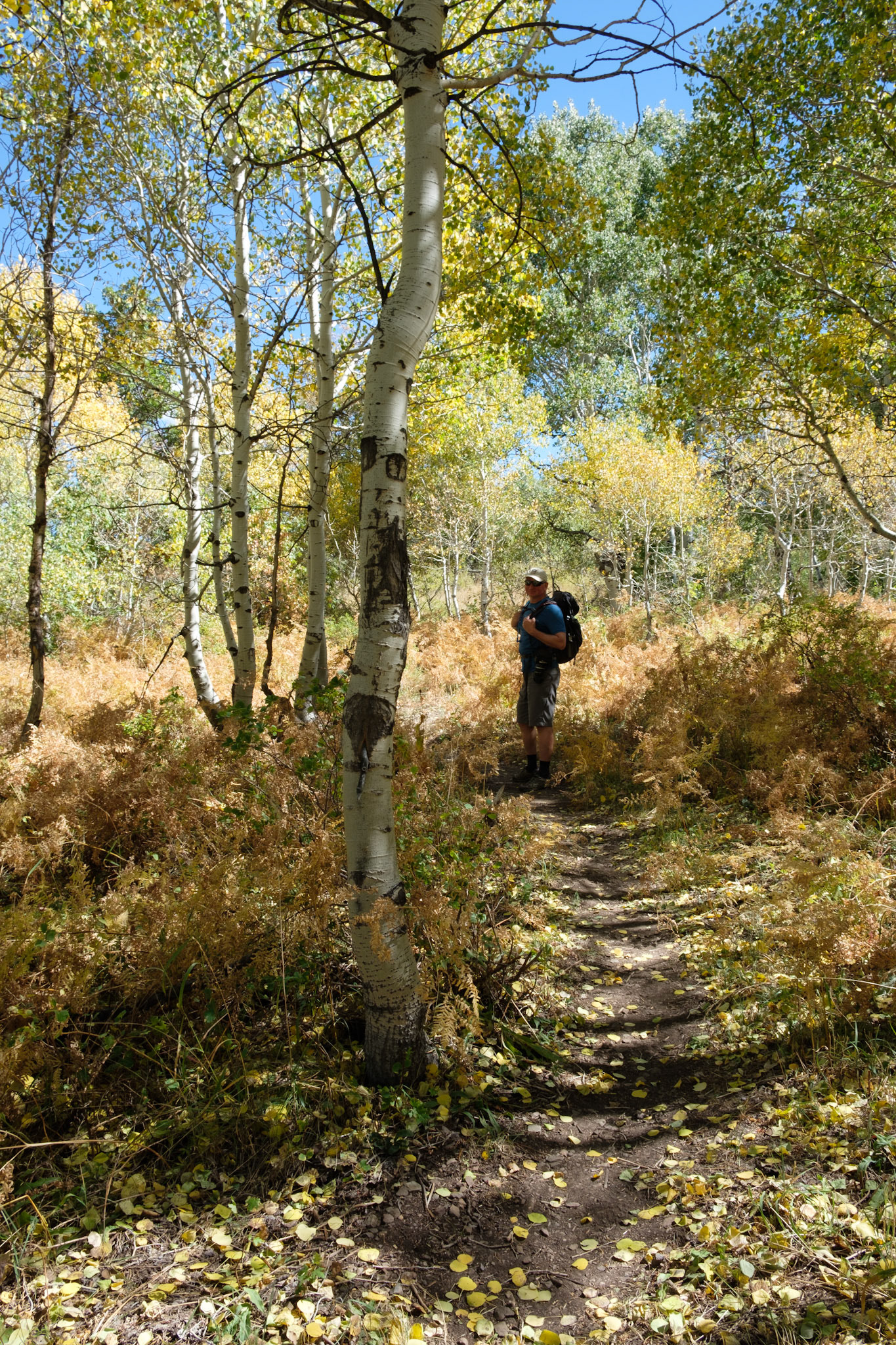 Hiking at Sundance