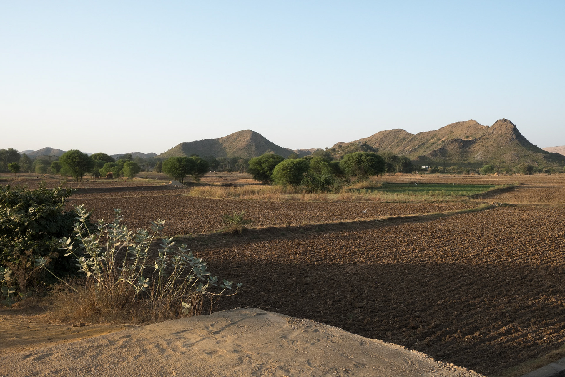 Rural Rajasthan