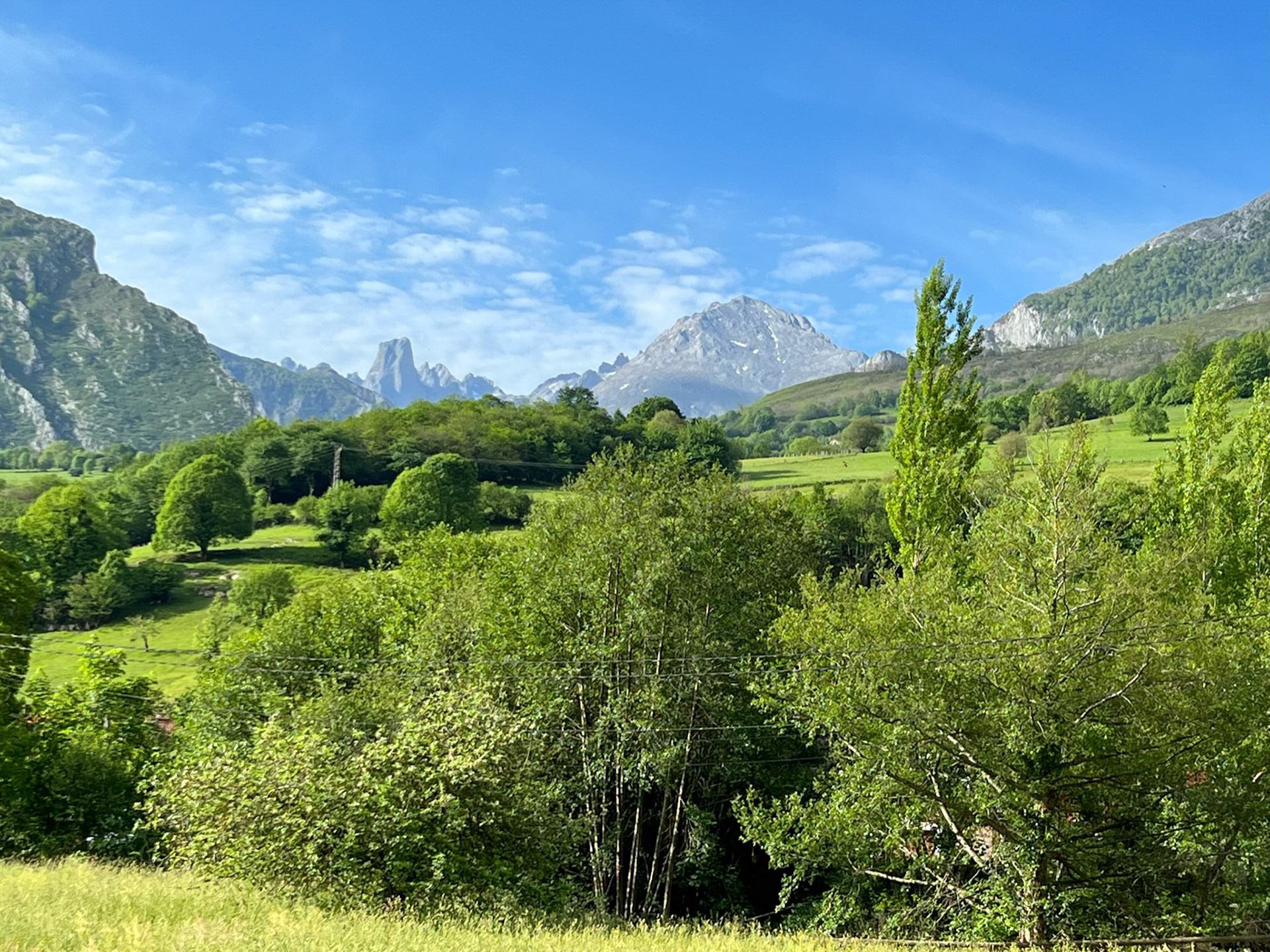 Picos de Europa