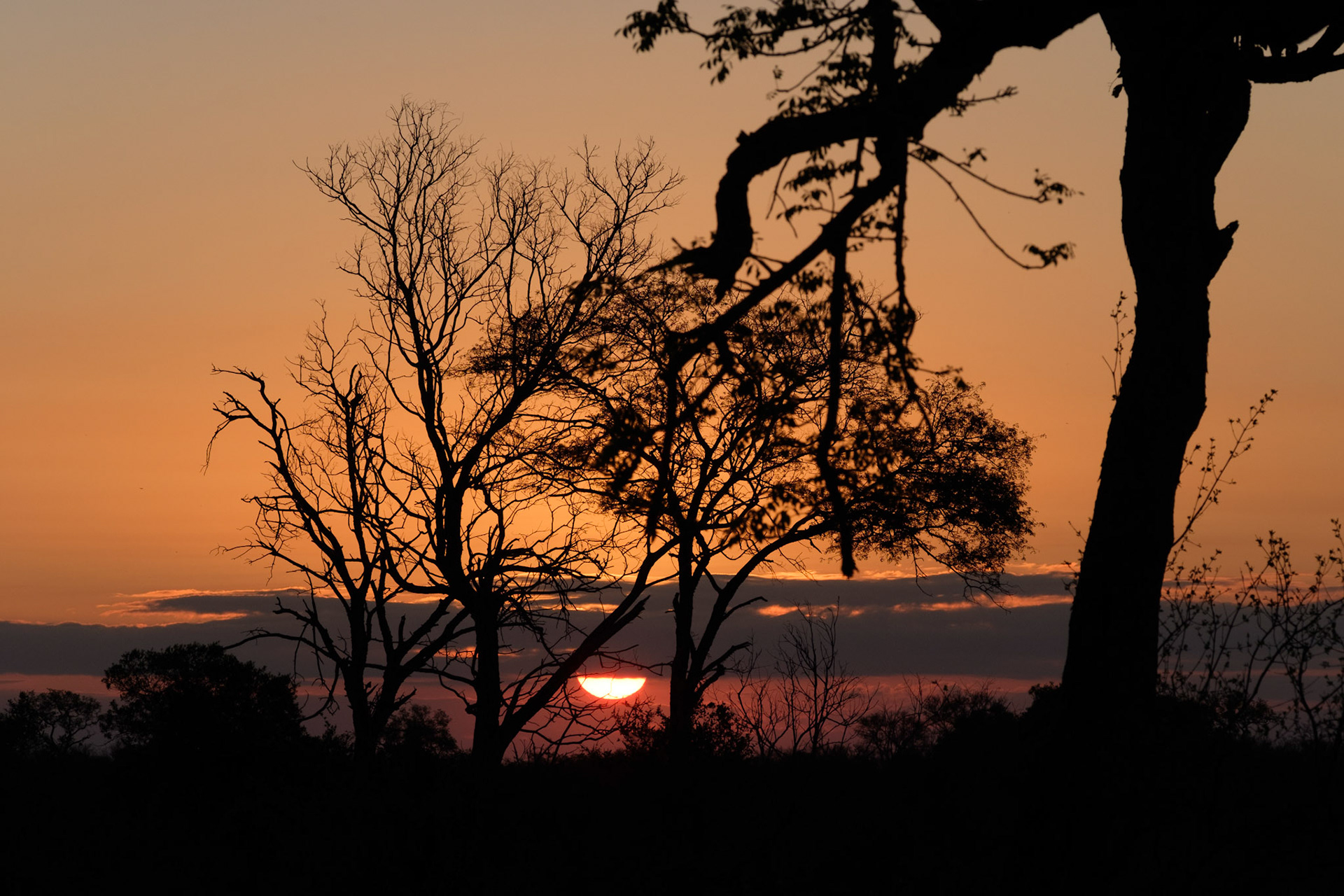 African sunset