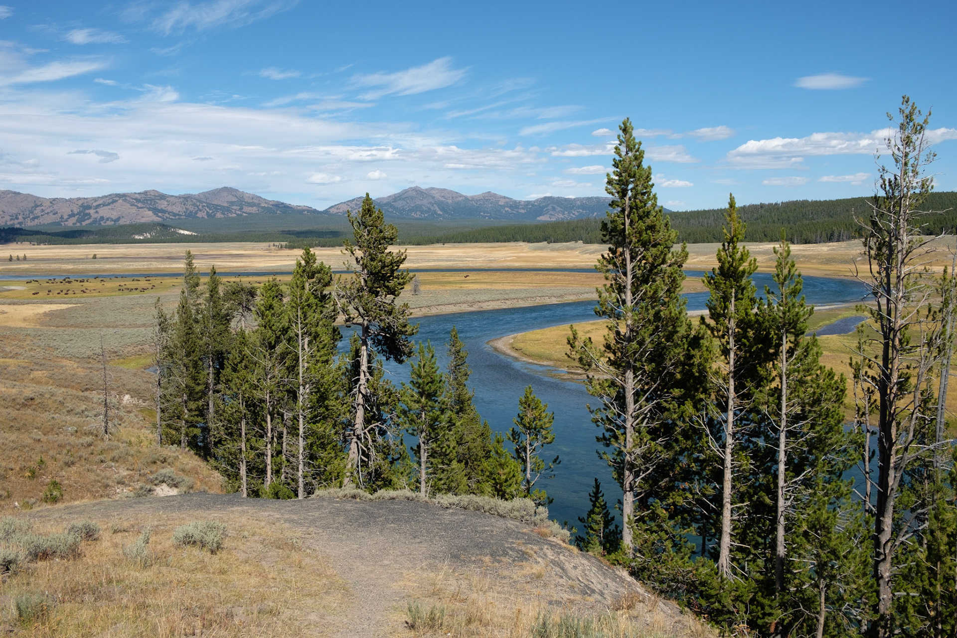 Hayden Valley