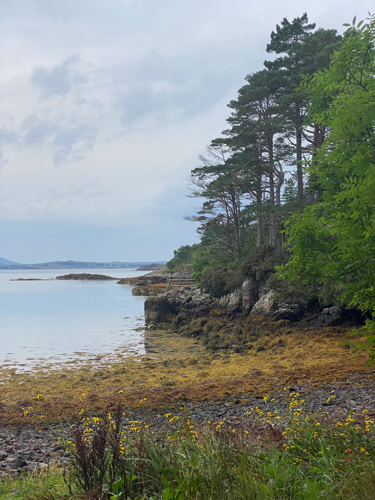 Camas Glas, Inverewe Gardens