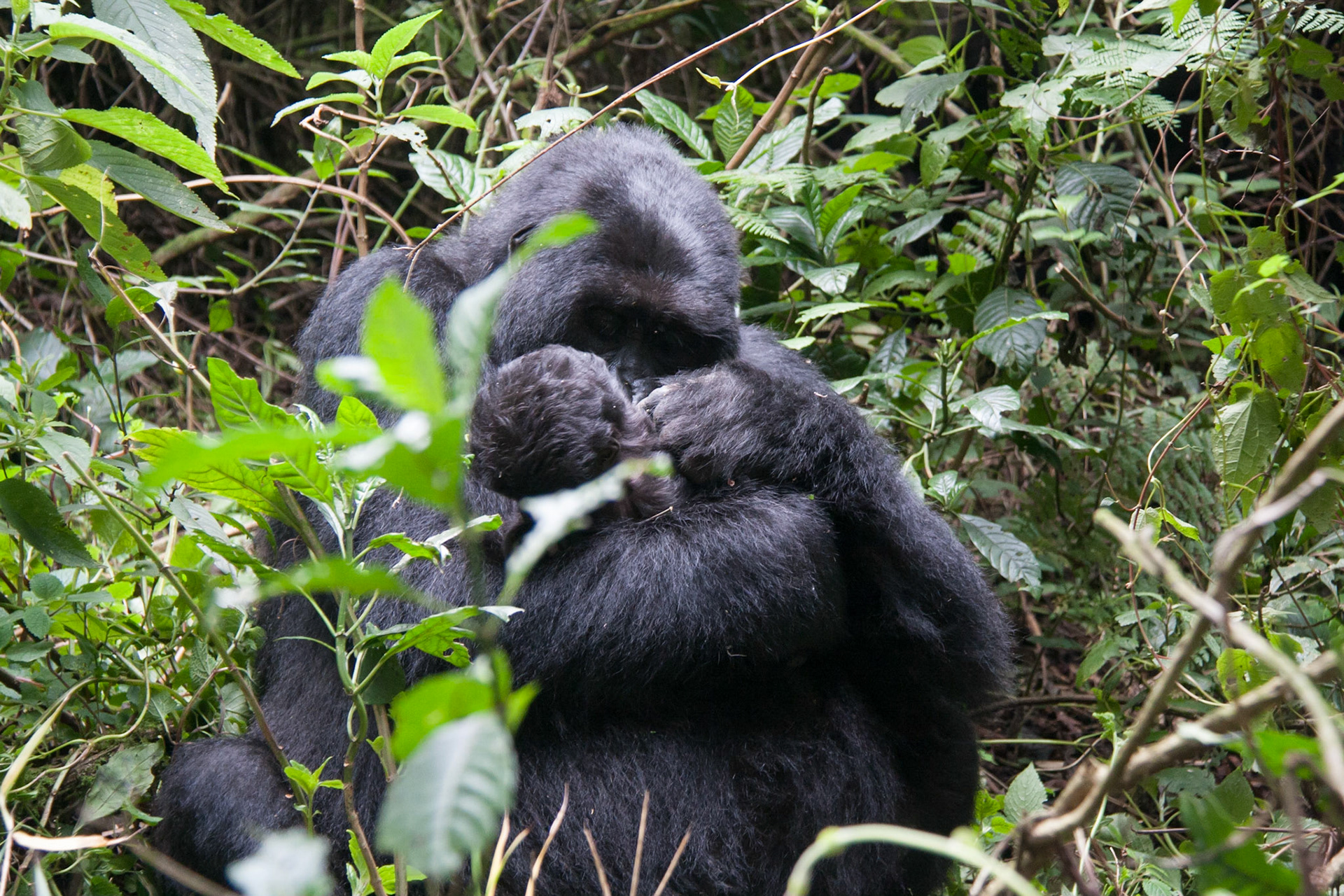 Mother with 6 week old baby
