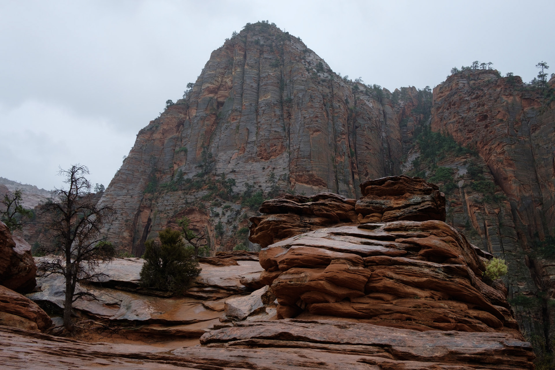 Canyon Overlook hike