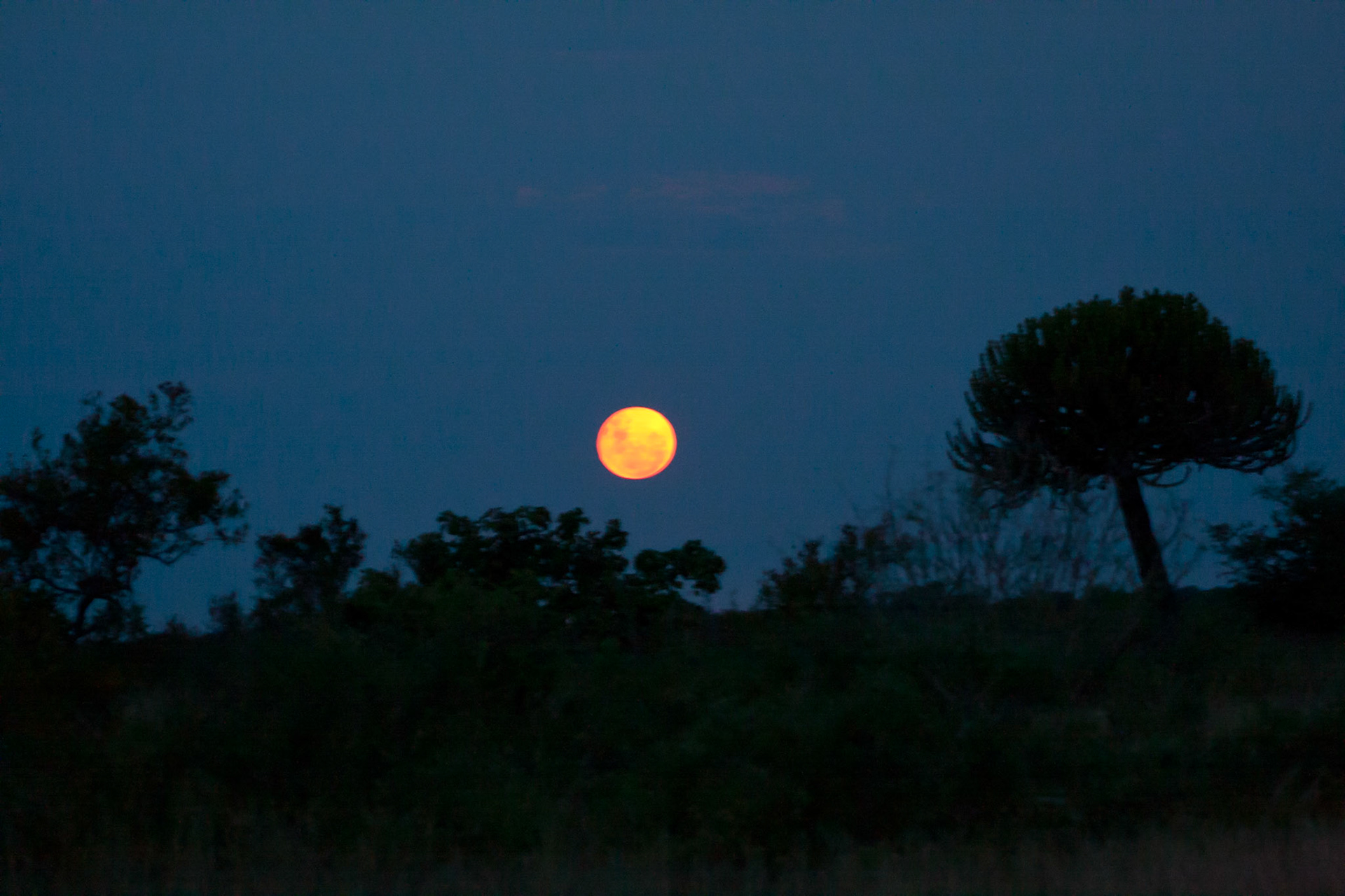 Rising moon