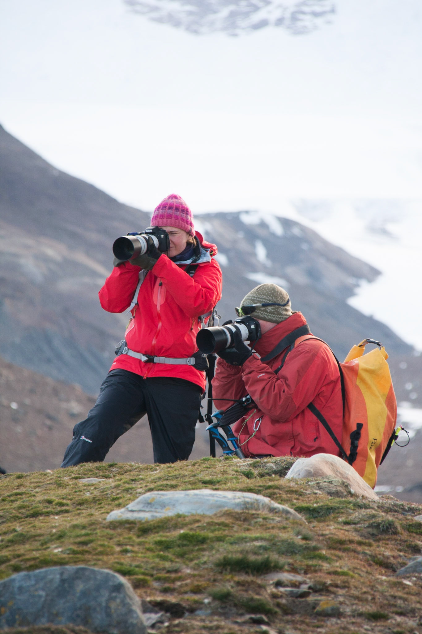 Photographing penguins at St Andrew's Bay