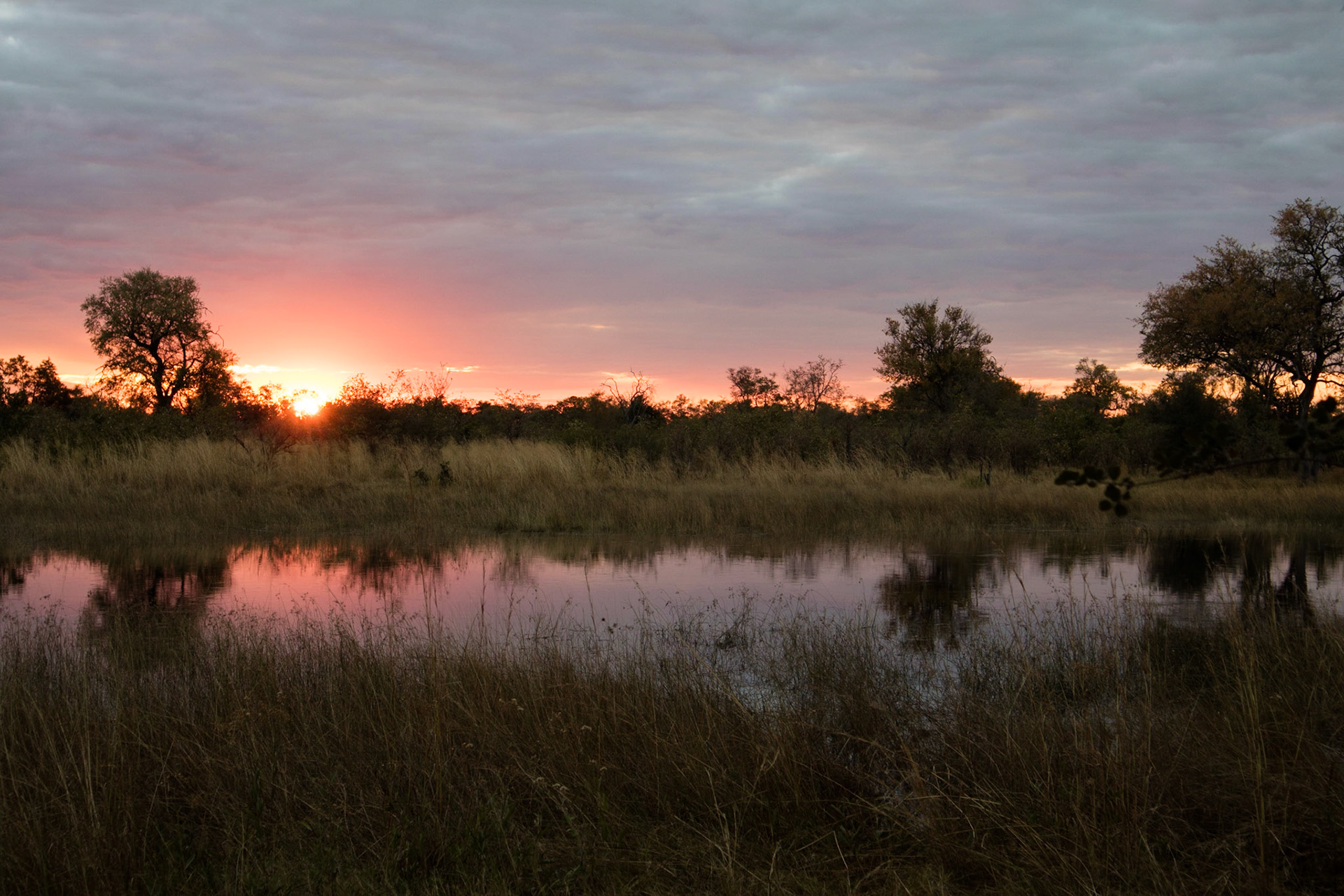 Sunset at our second camp, Selinda Adventure Trail