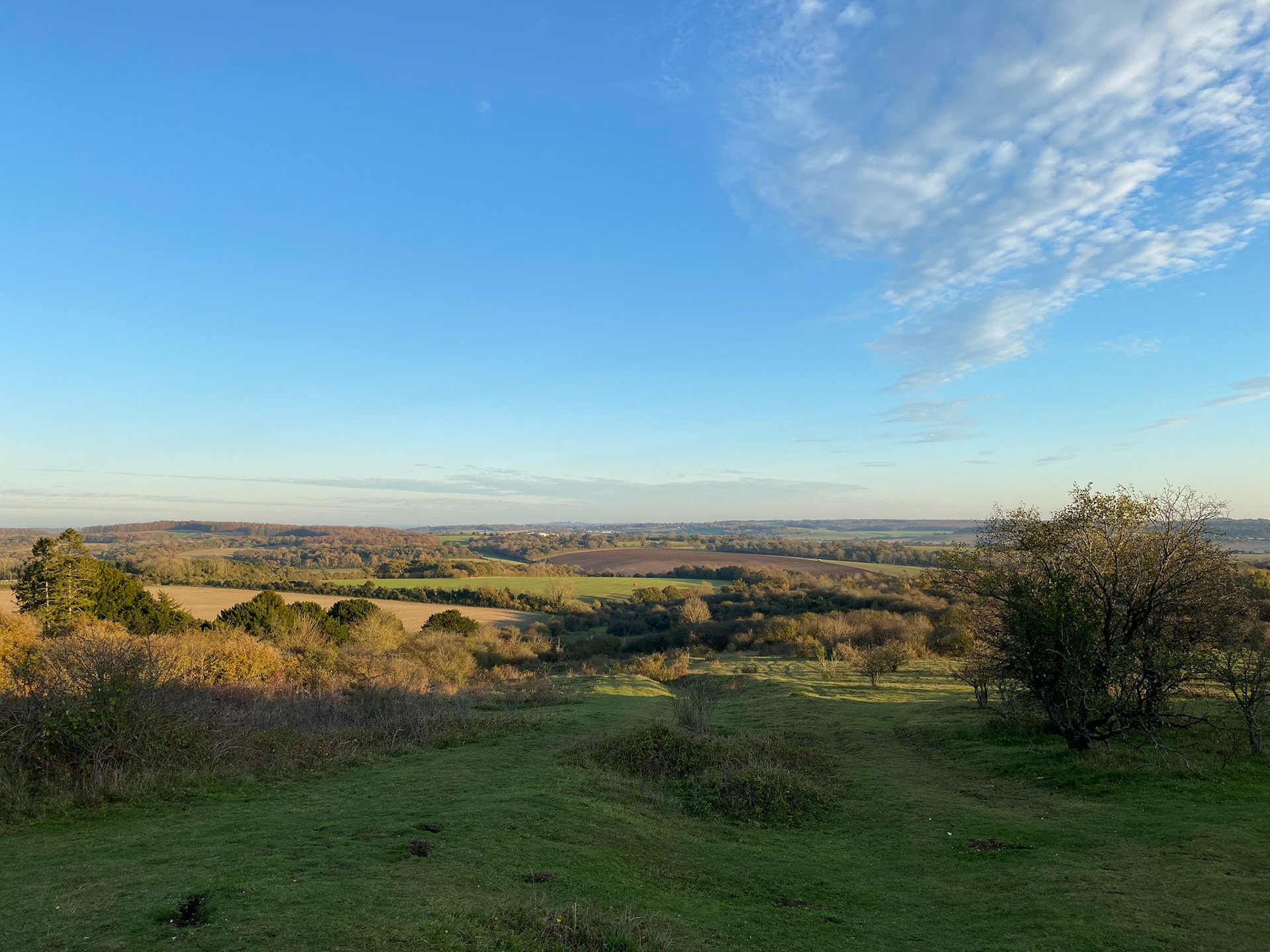 Stockbridge Down
