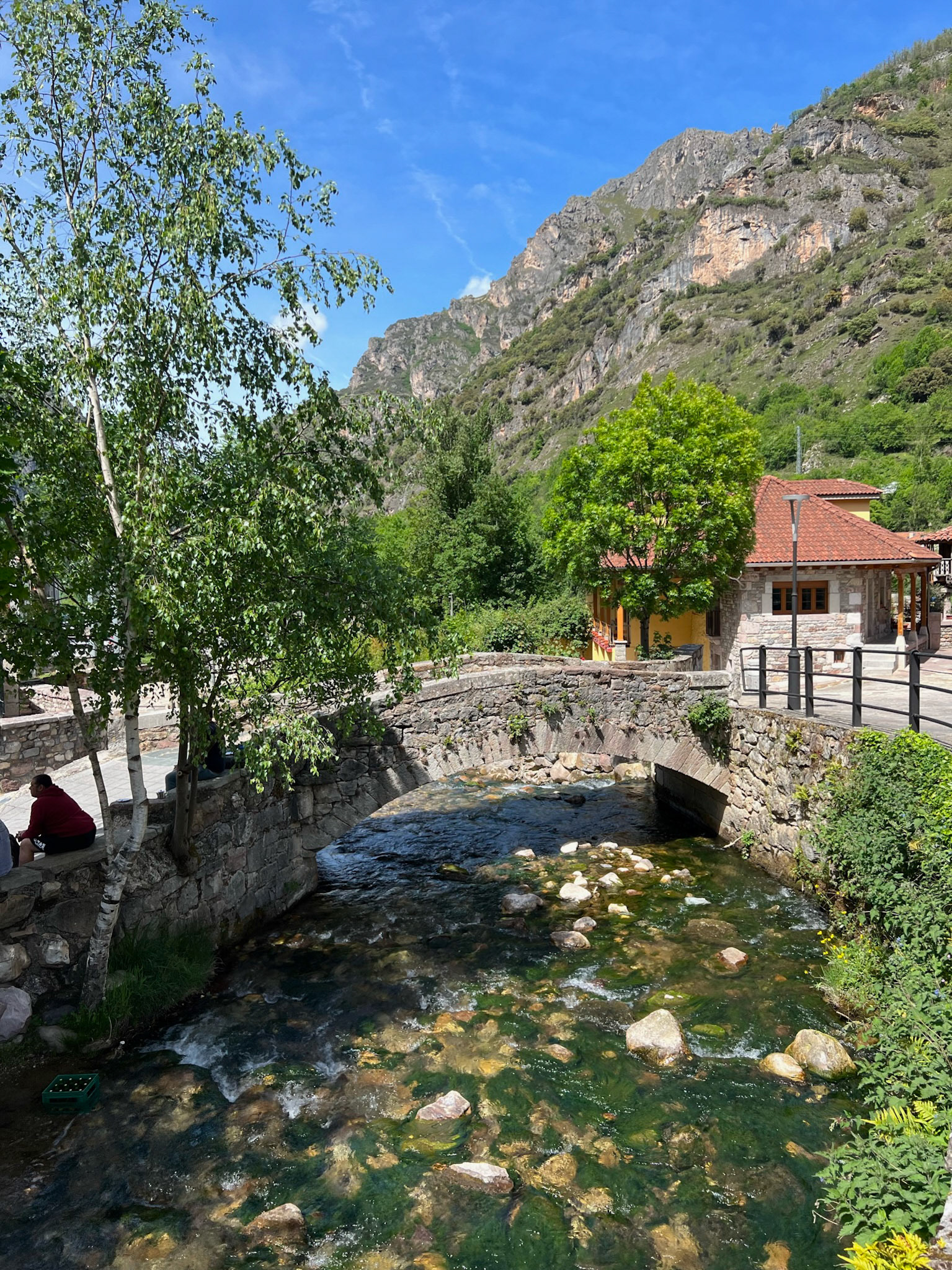 Pola de Somiedo