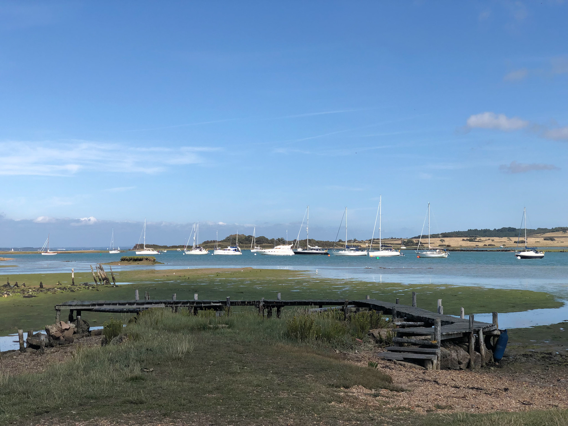 Newtown estuary