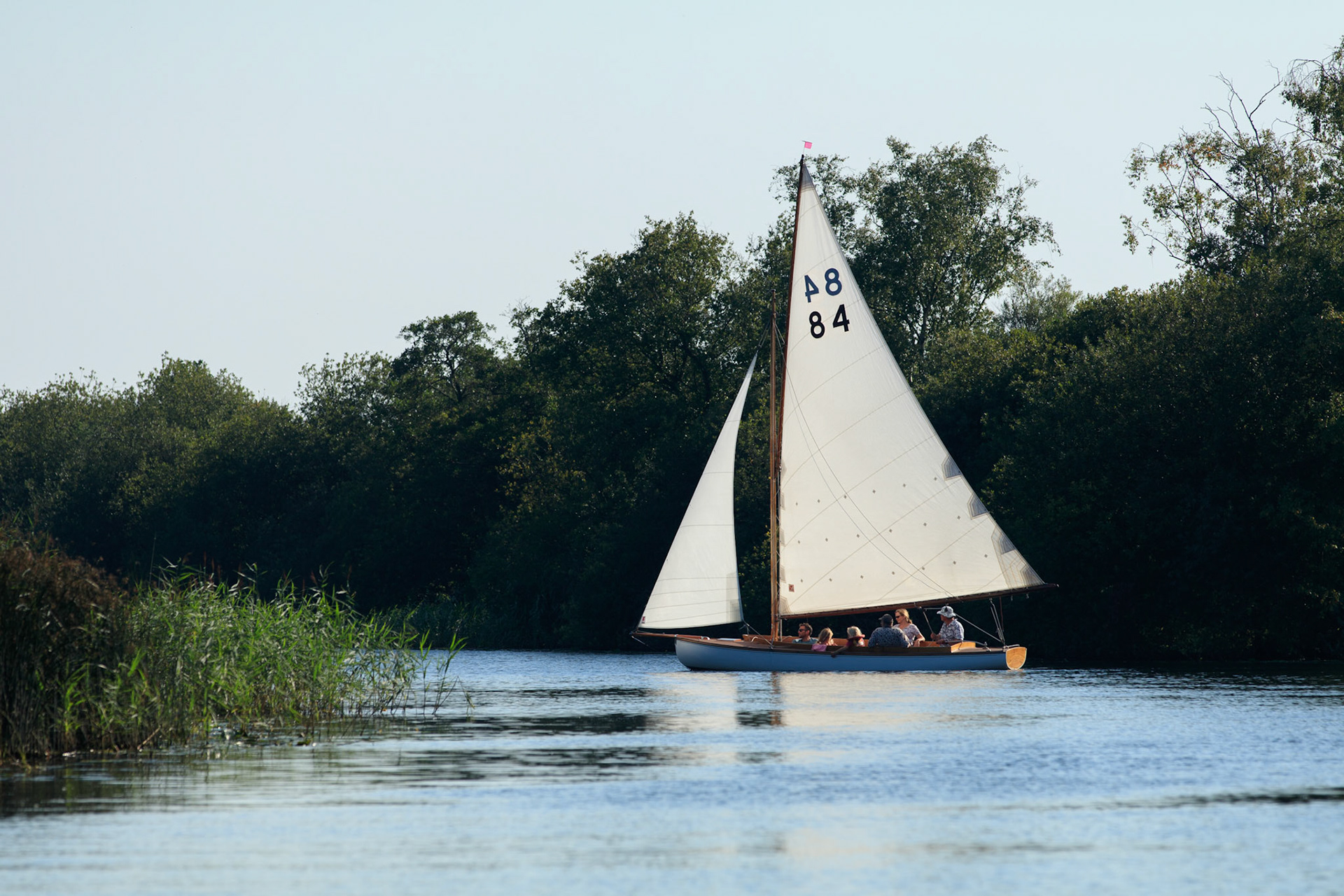 Sailing on the River Ant
