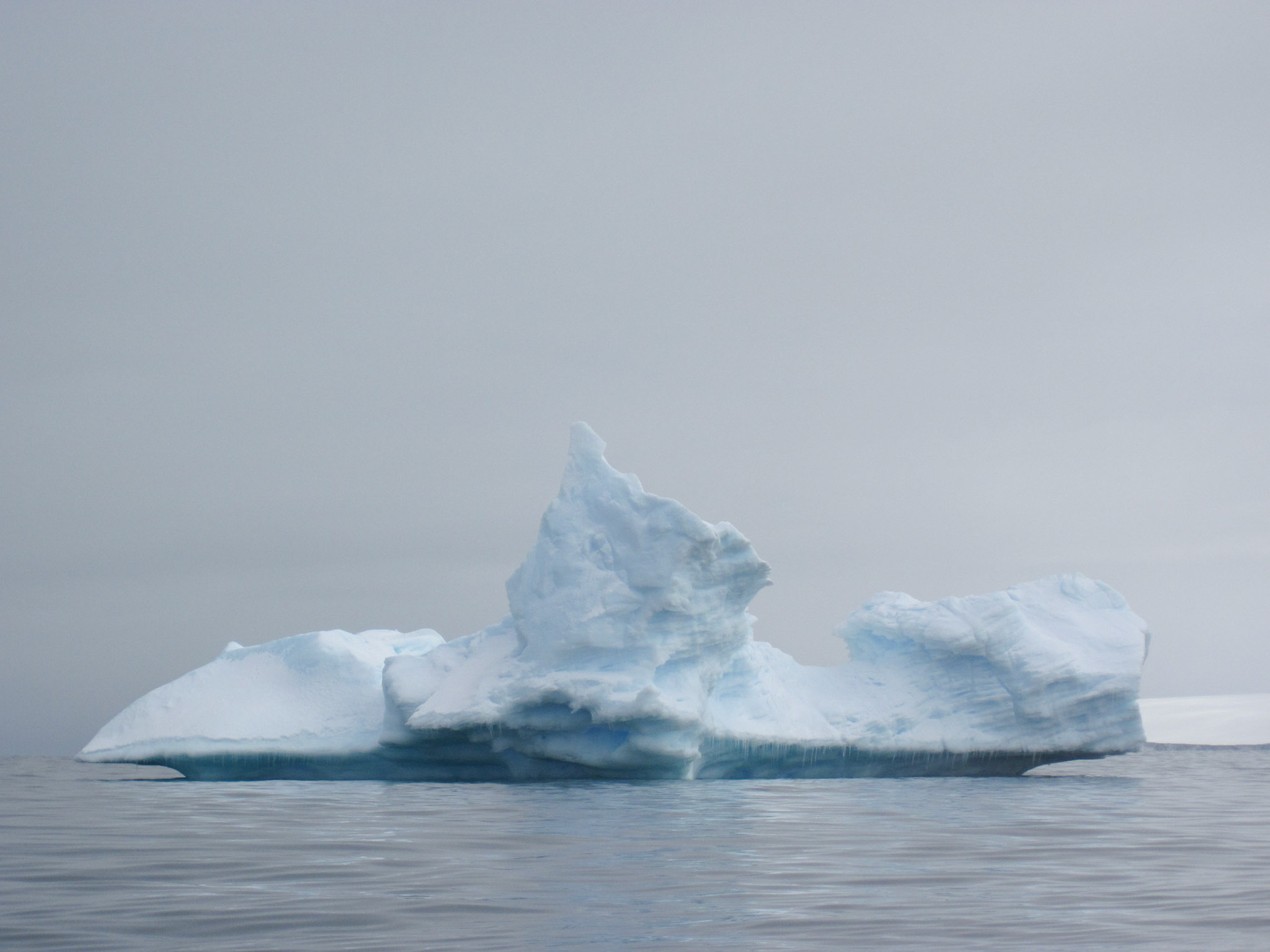 Iceberg