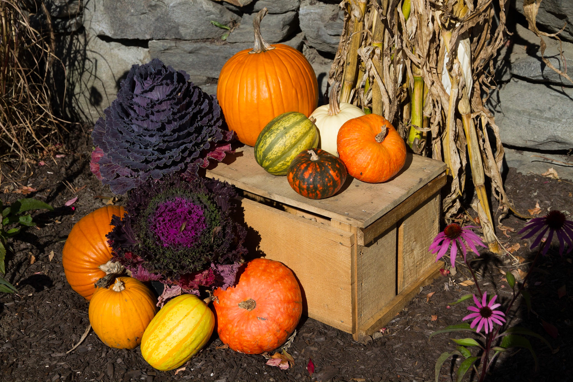 Fall!
