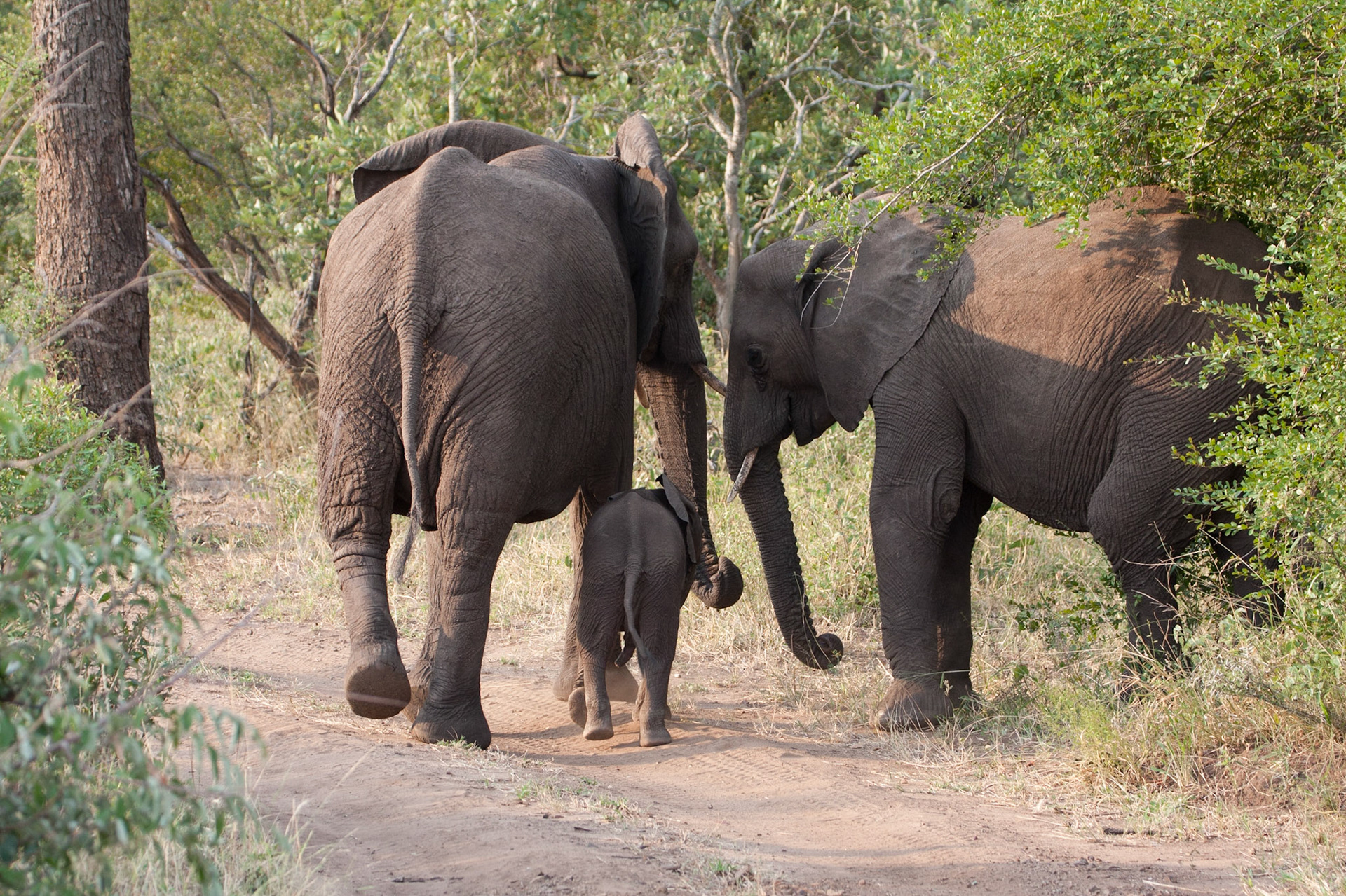 Mother keeping her baby close