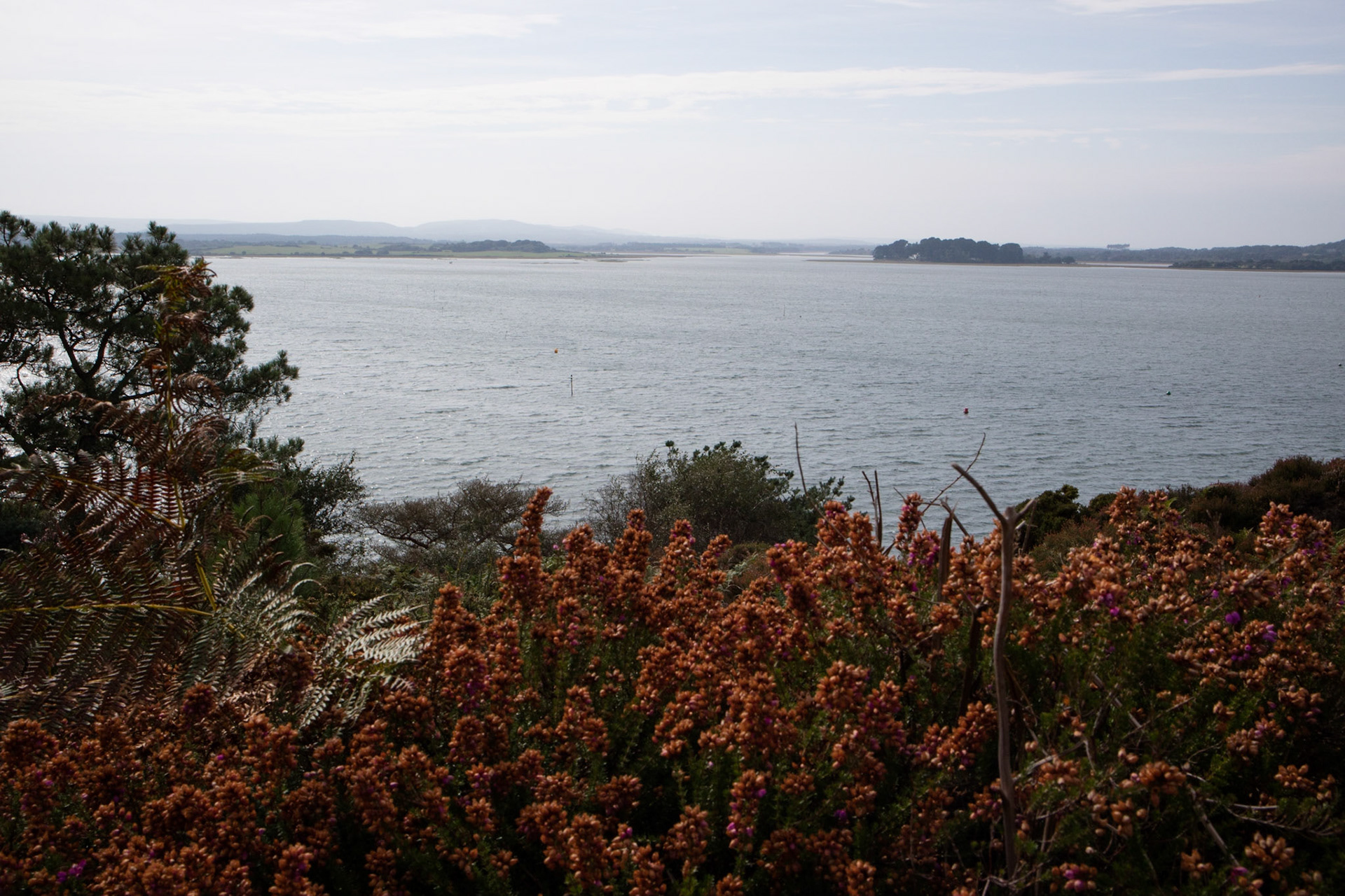 Poole Harbour, from Brownsea Island