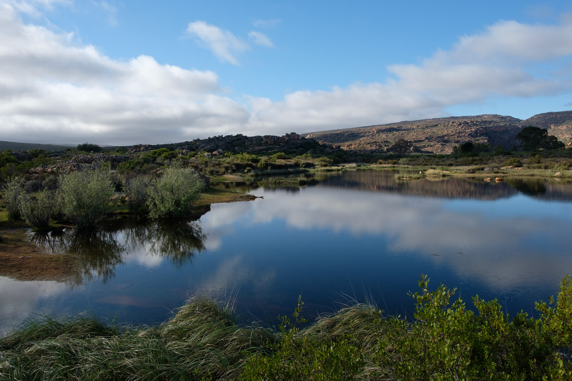 Brandhoek Dam