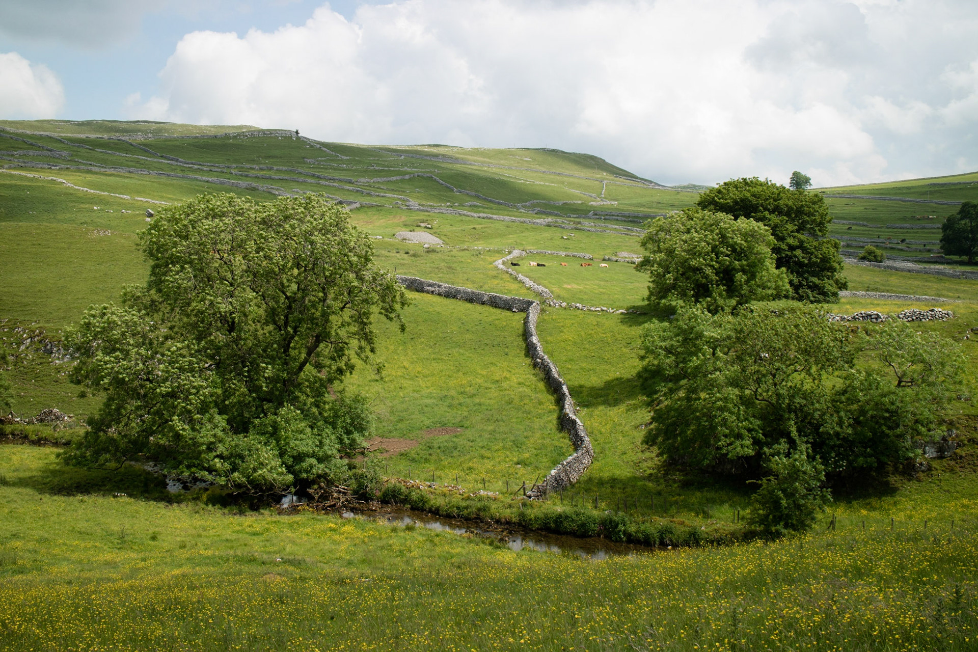 Yorkshire Dales