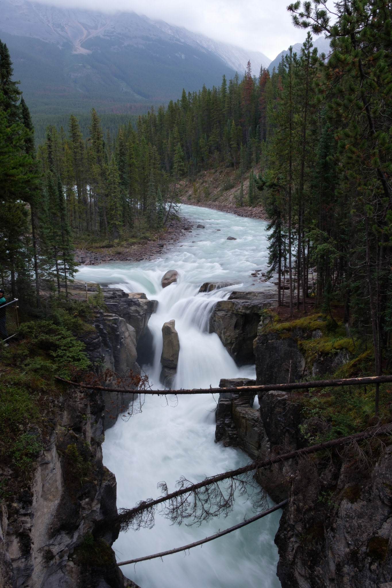 Sunwapta Falls