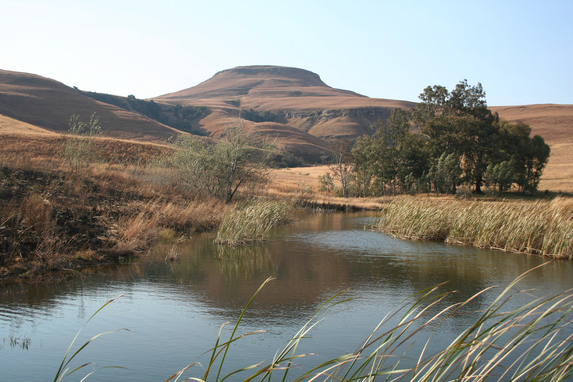 Montusi Mountain