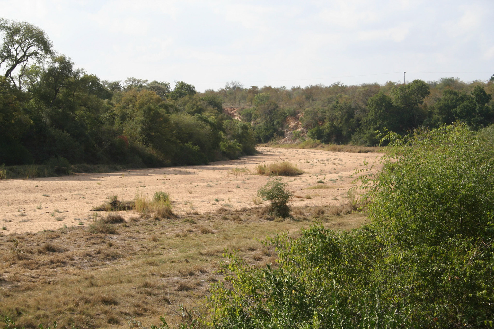 Timbavati river bed from deck