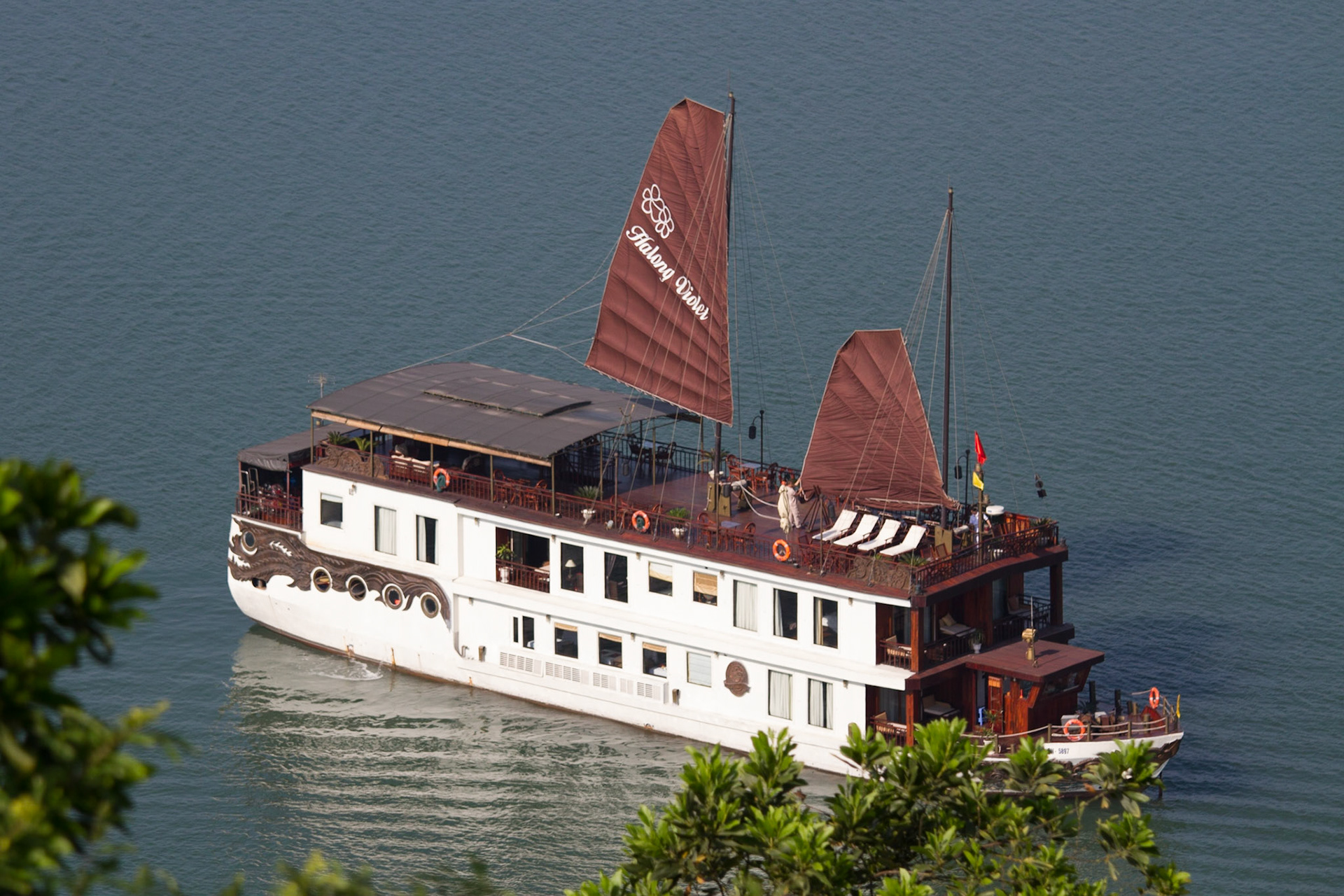 The Halong Violet