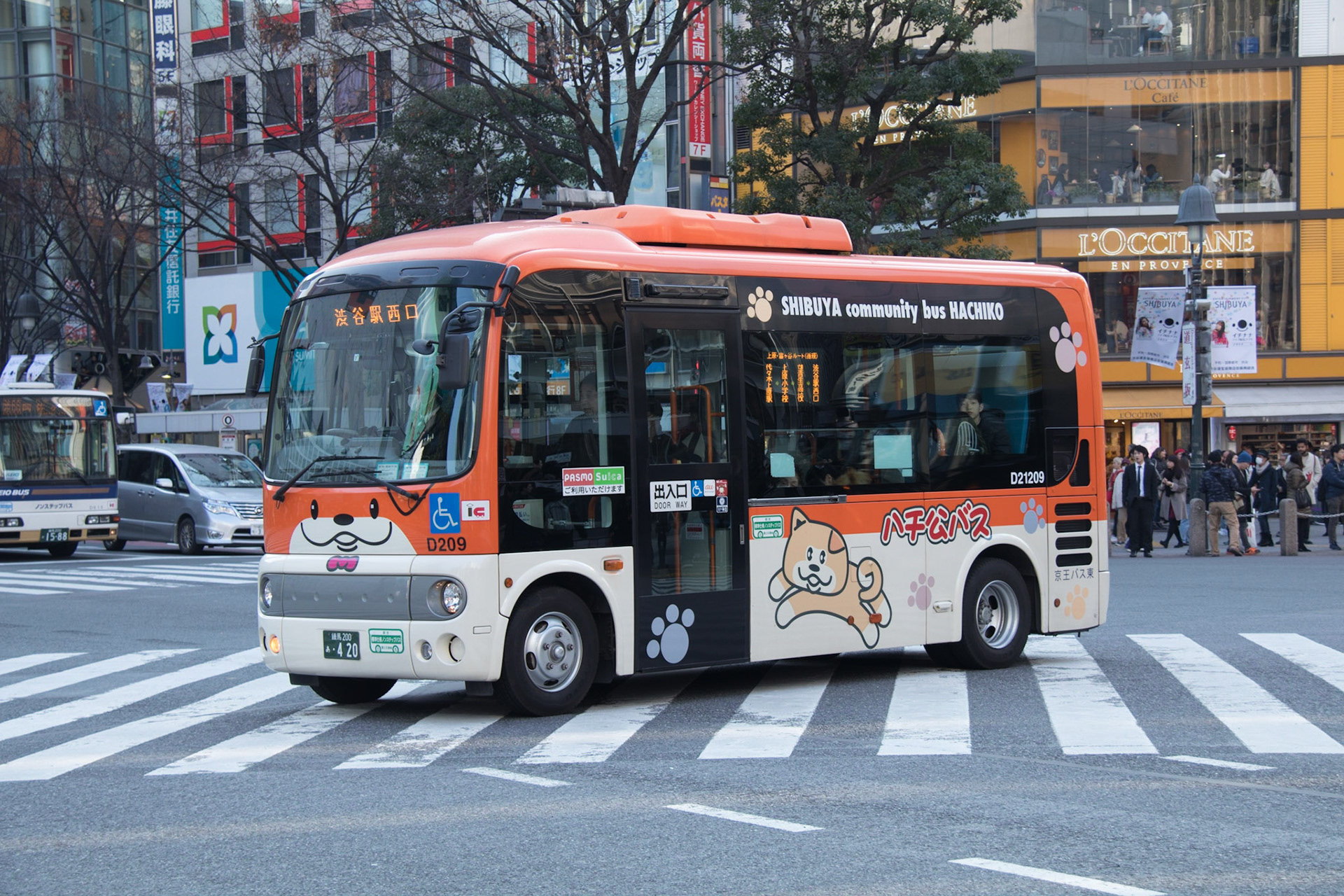 Funny little bus