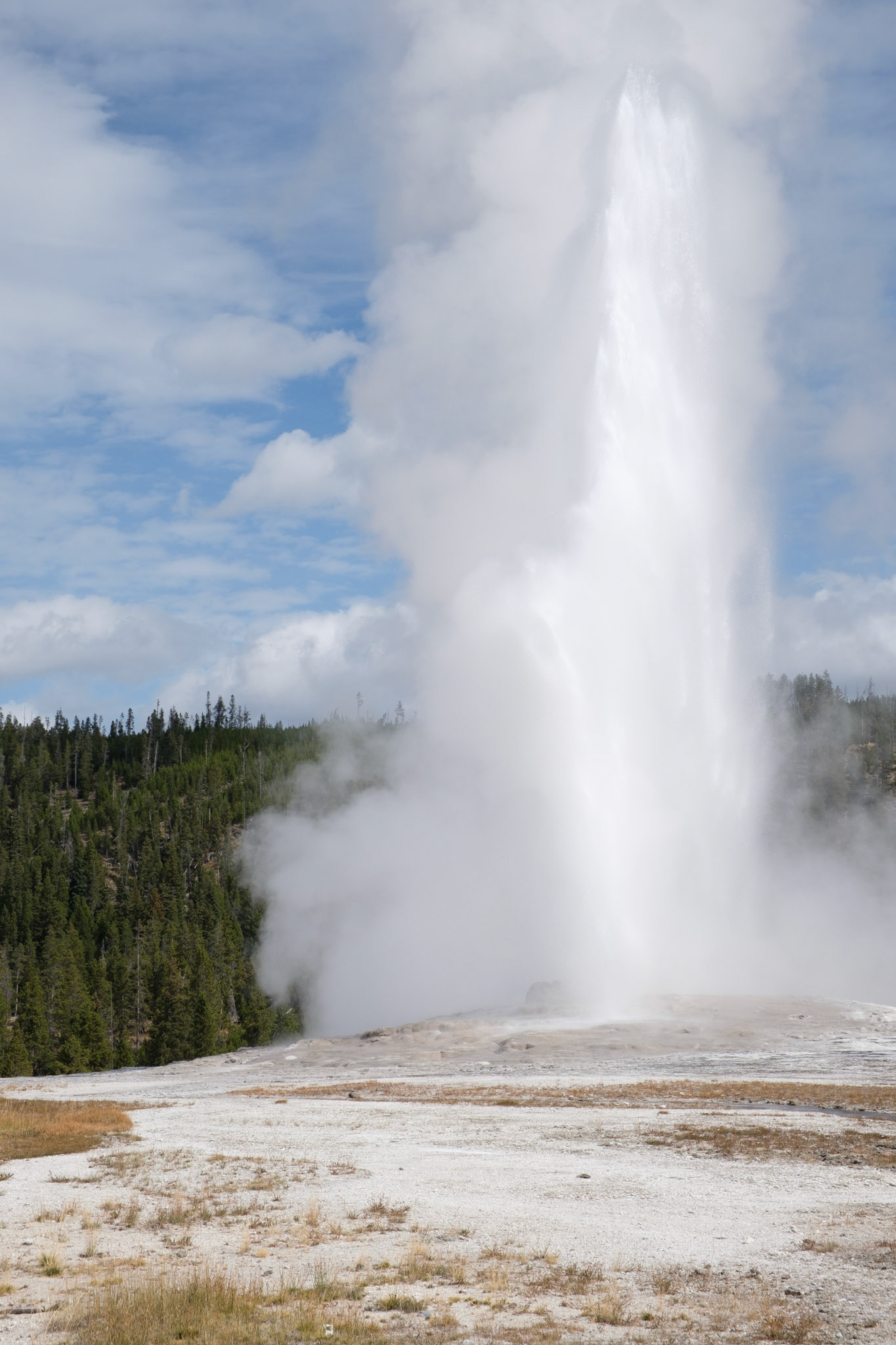 Old Faithful