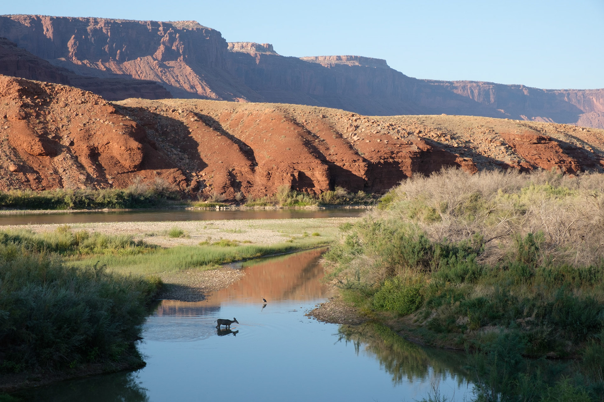 View from our room at Sorrel River Ranch, Moab