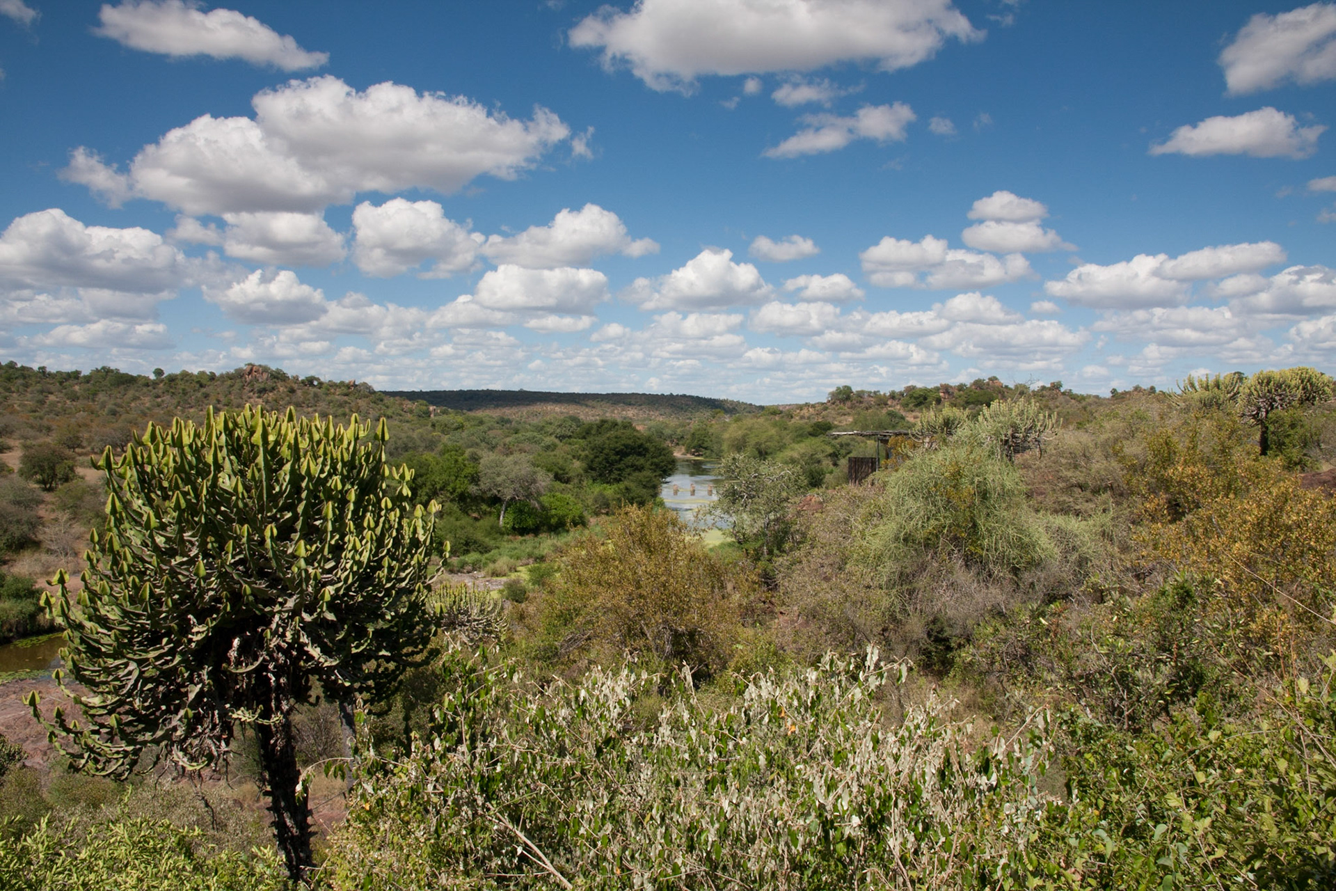 View from Lebombo