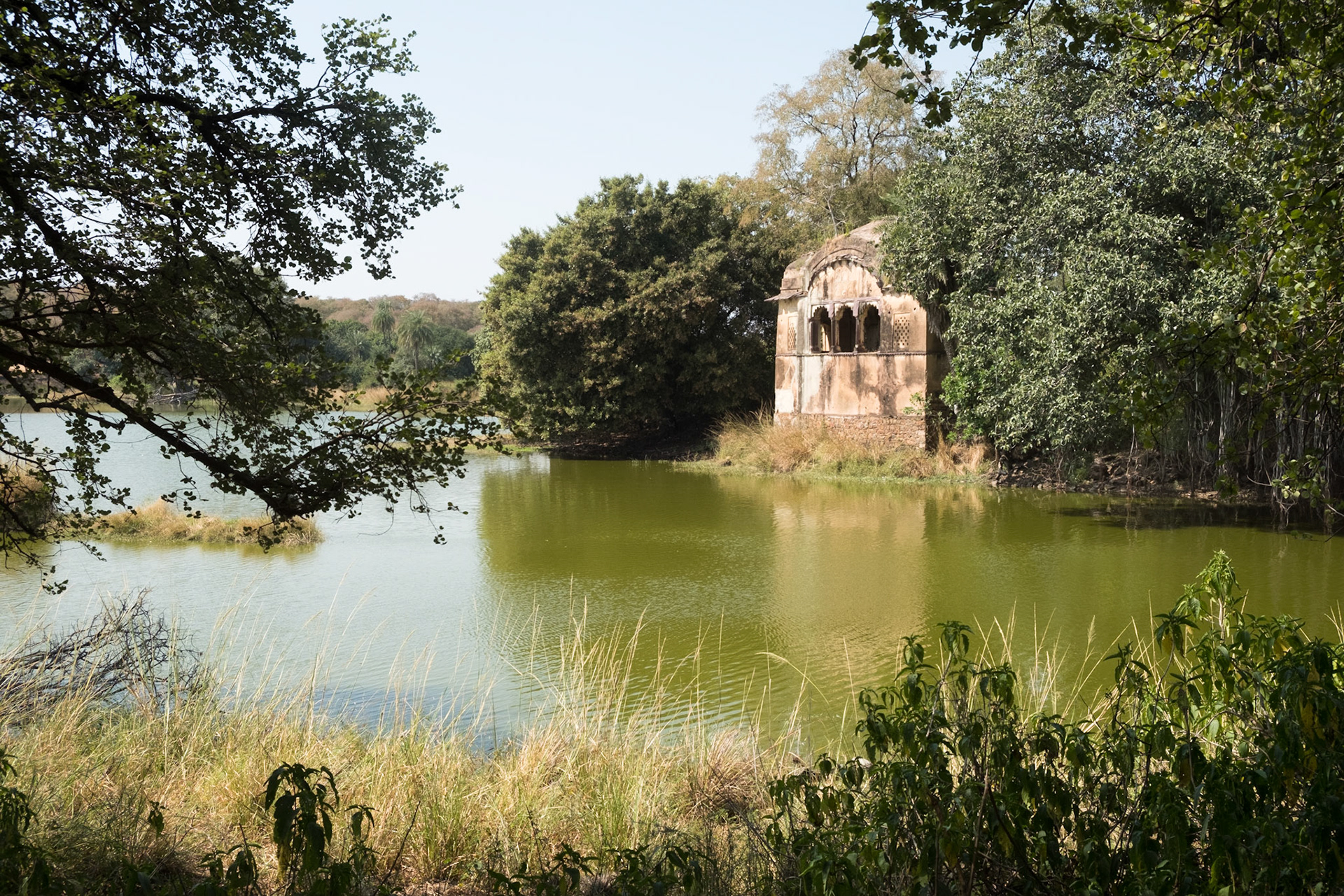 Ranthambore zone 3